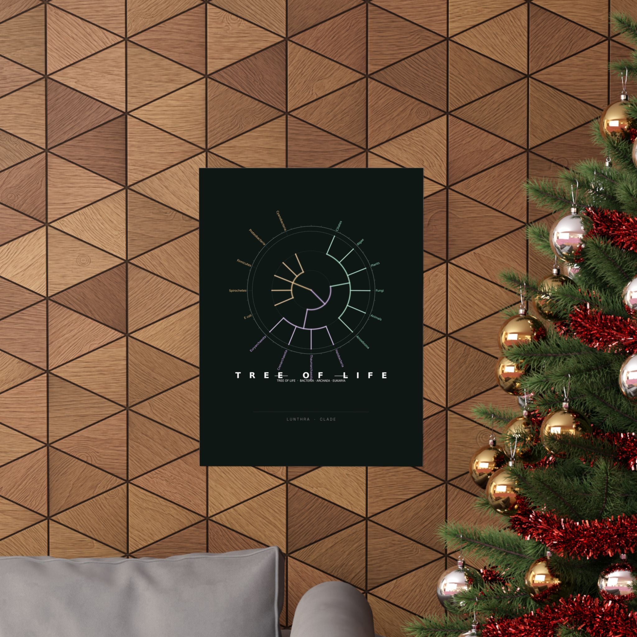 Tree of Life Poster - Phylogeny Cladogram Art Wall Art