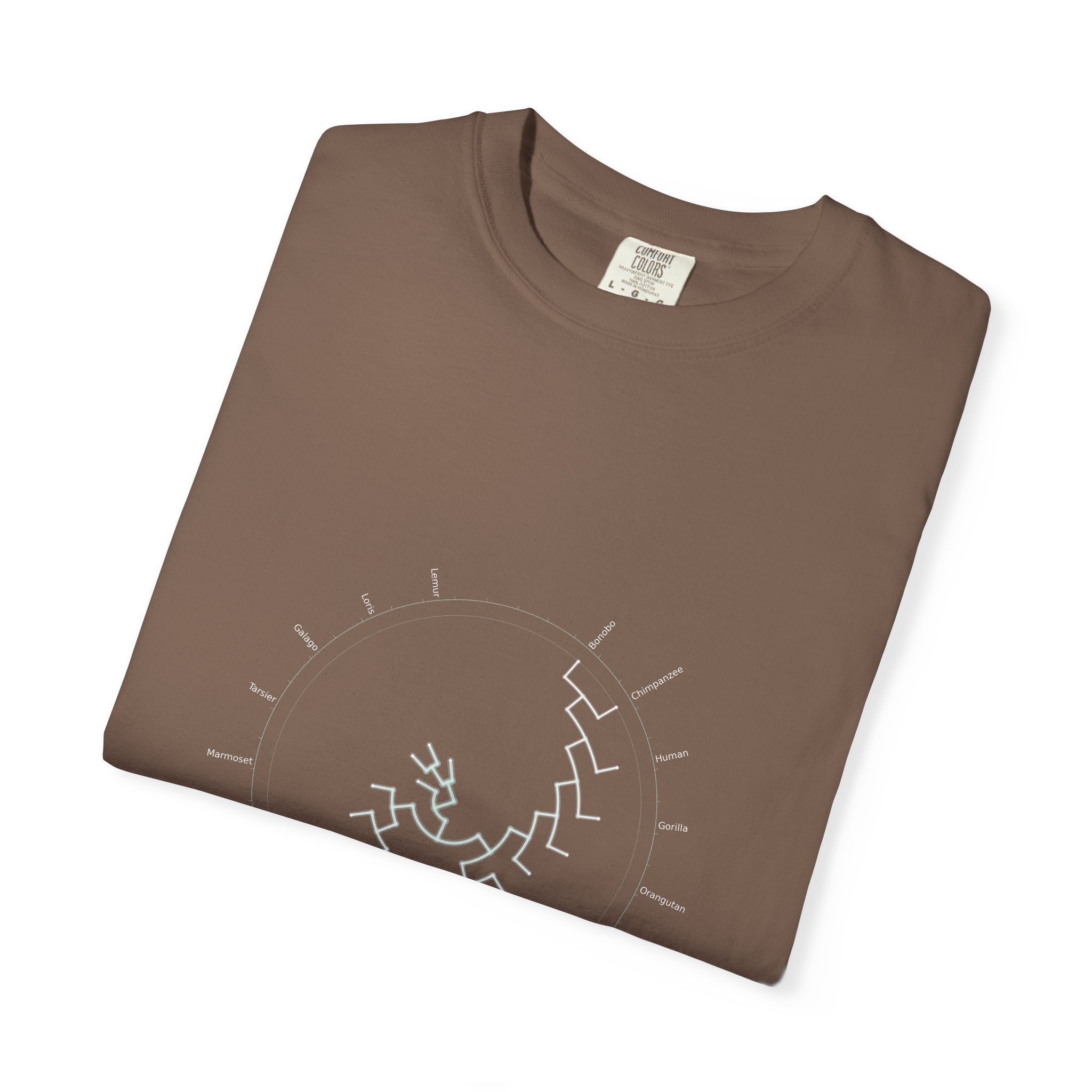 Primates Tee - Phylogeny Cladogram Art | Men's