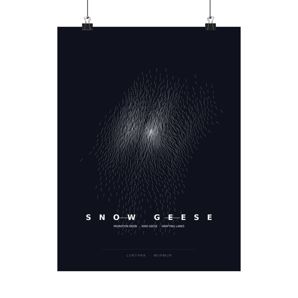 Snow Geese Skein Poster - Boids Flocking Model Art Wall Art