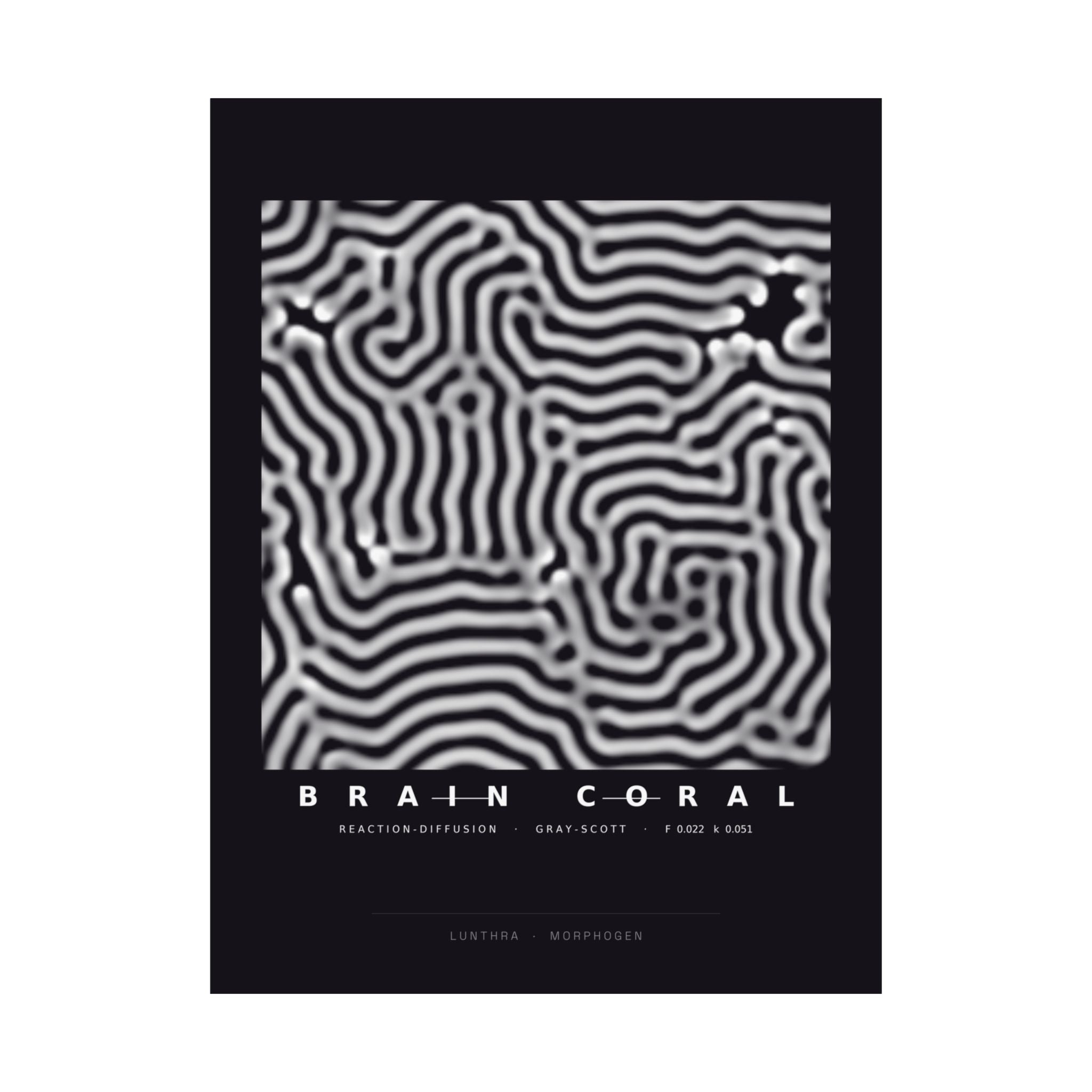 Brain Coral Poster - Turing Reaction-Diffusion Art Wall Art