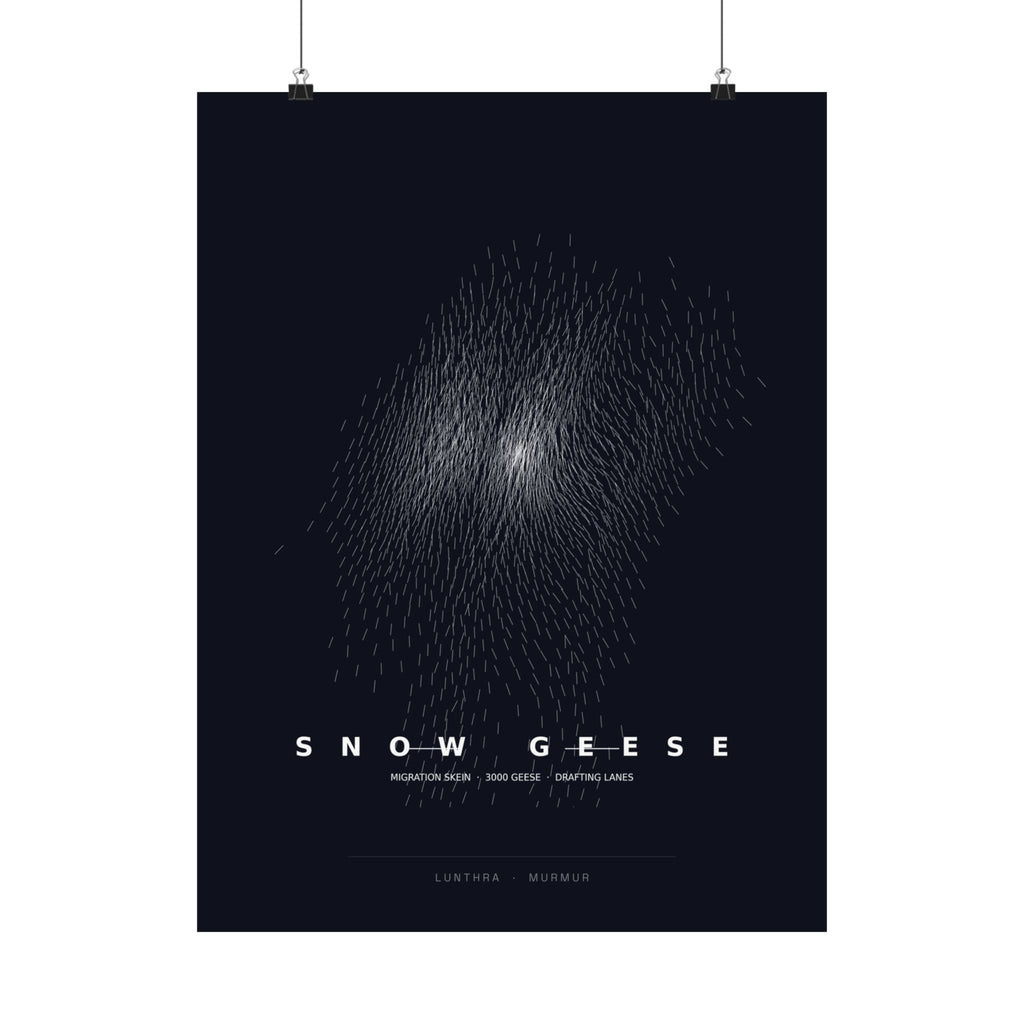 Snow Geese Skein Poster - Boids Flocking Model Art Wall Art