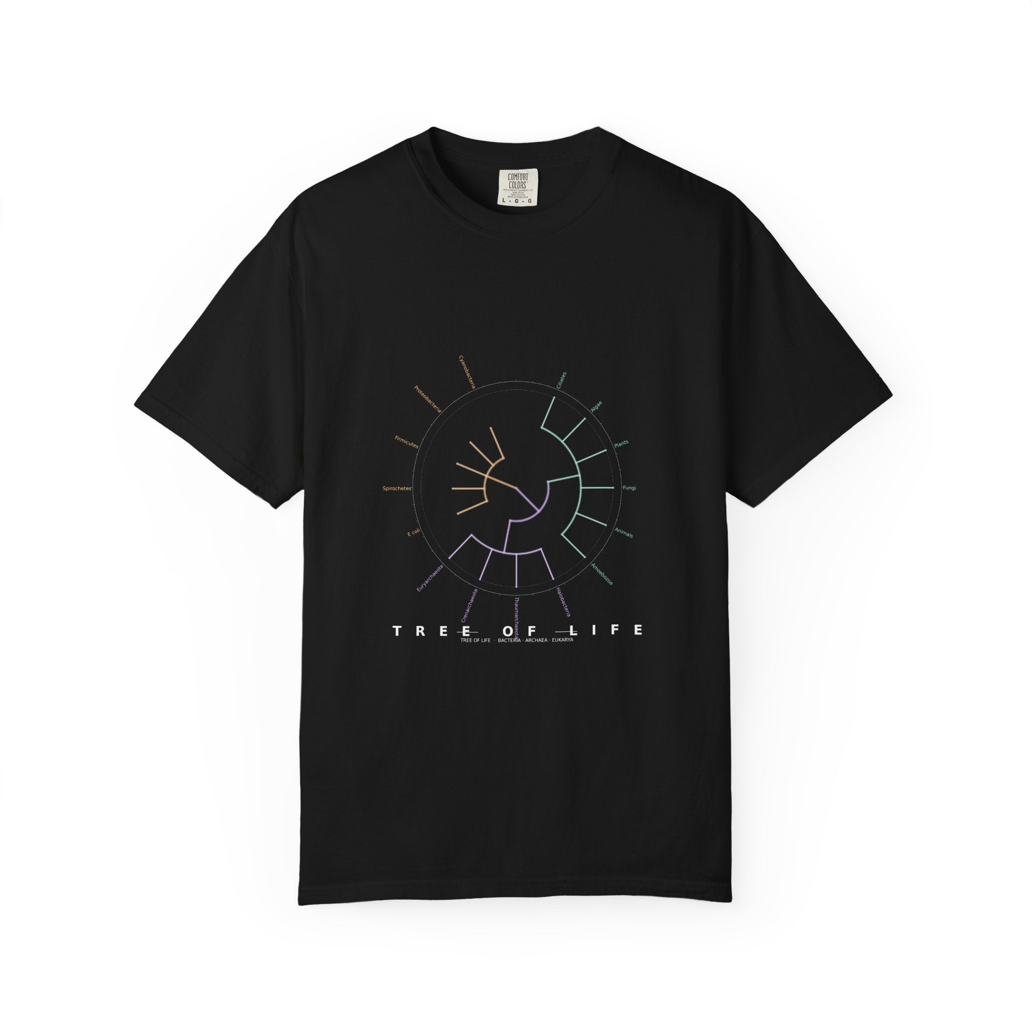 Tree of Life Tee - Phylogeny Cladogram Art | Men's