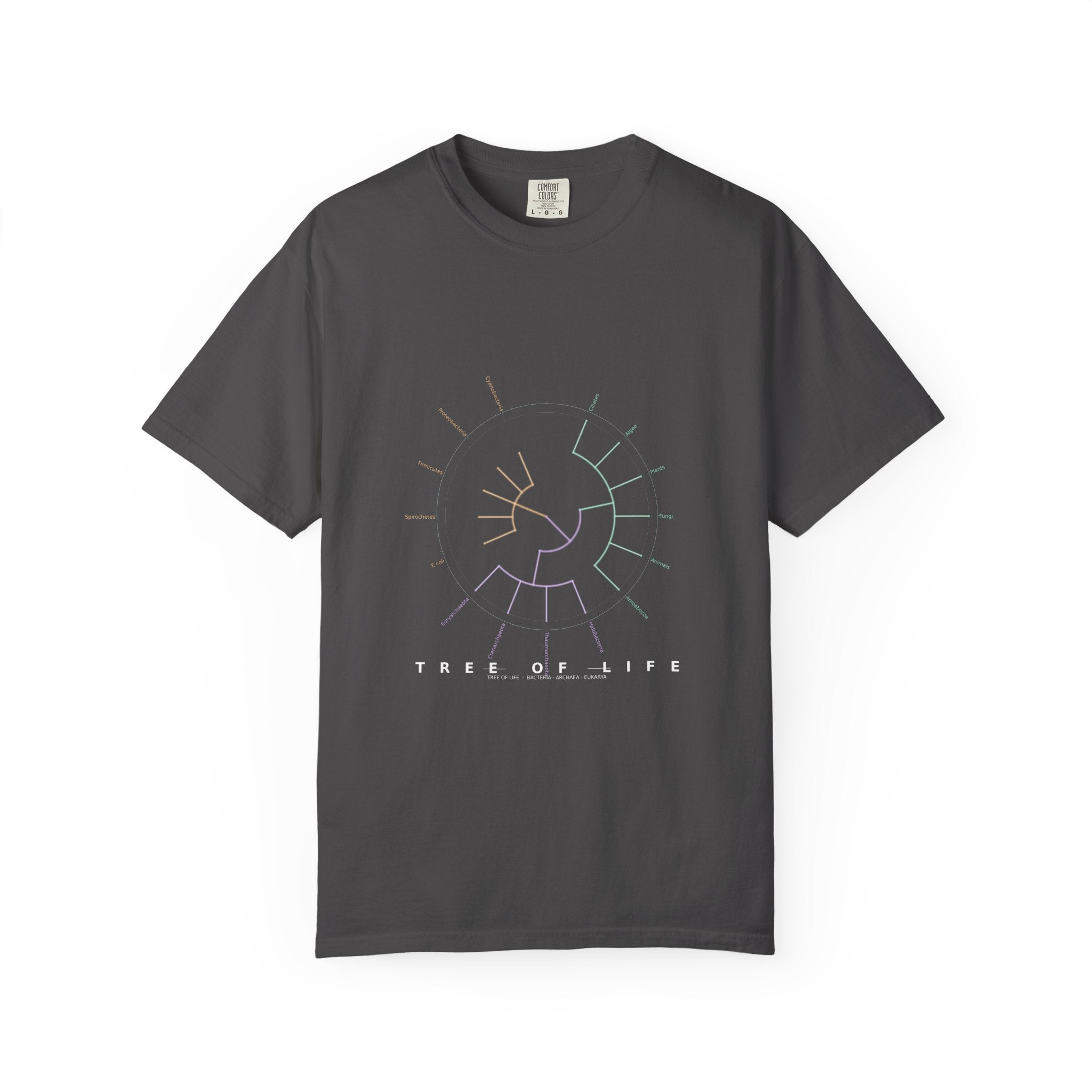 Tree of Life Tee - Phylogeny Cladogram Art | Men's
