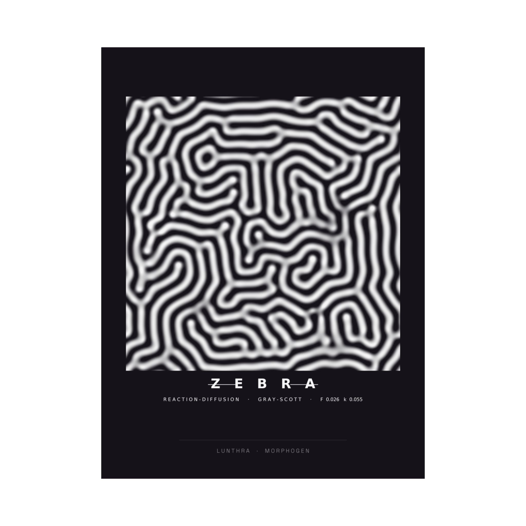 Zebra Poster - Turing Reaction-Diffusion Art Wall Art