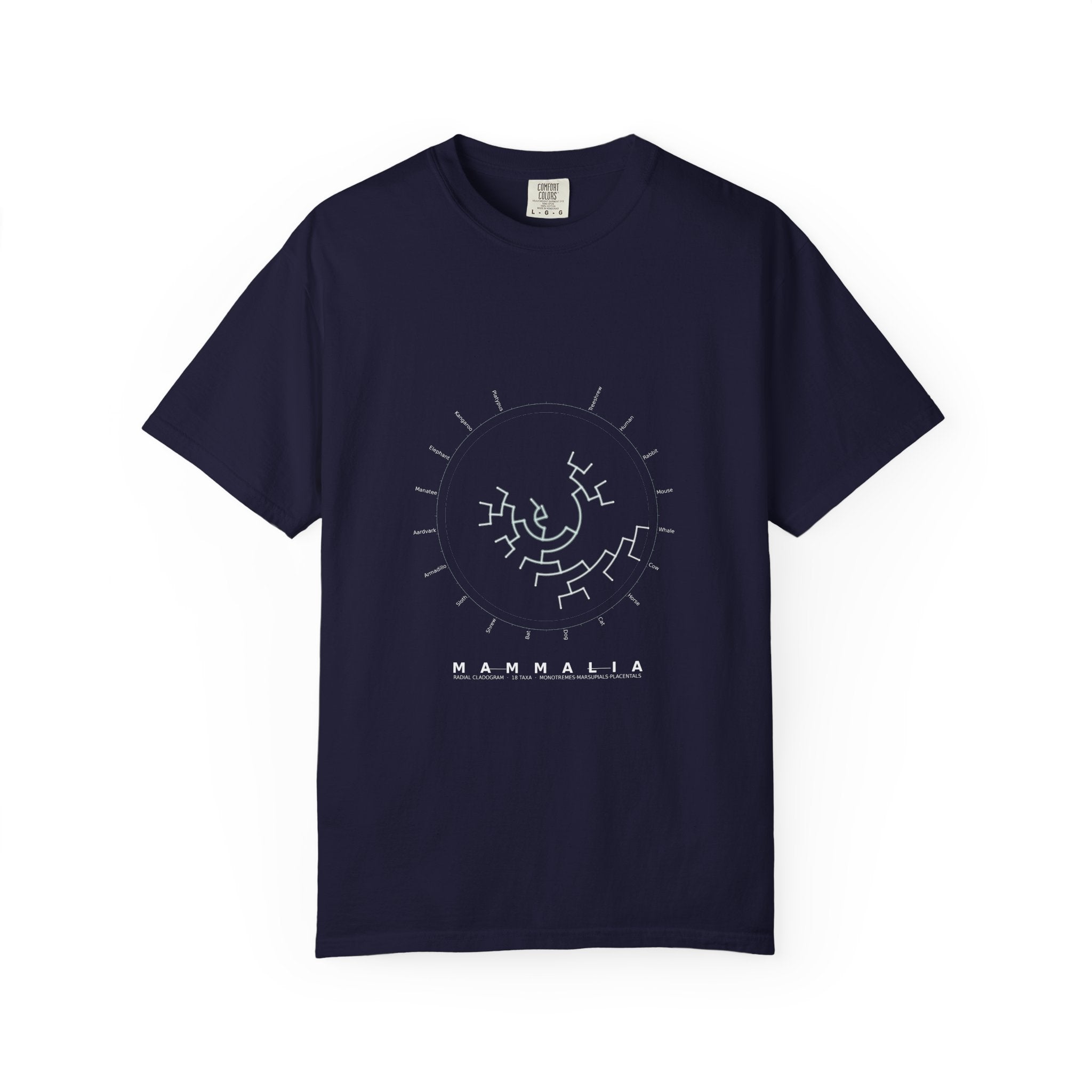 Mammalia Tee - Phylogeny Cladogram Art | Men's