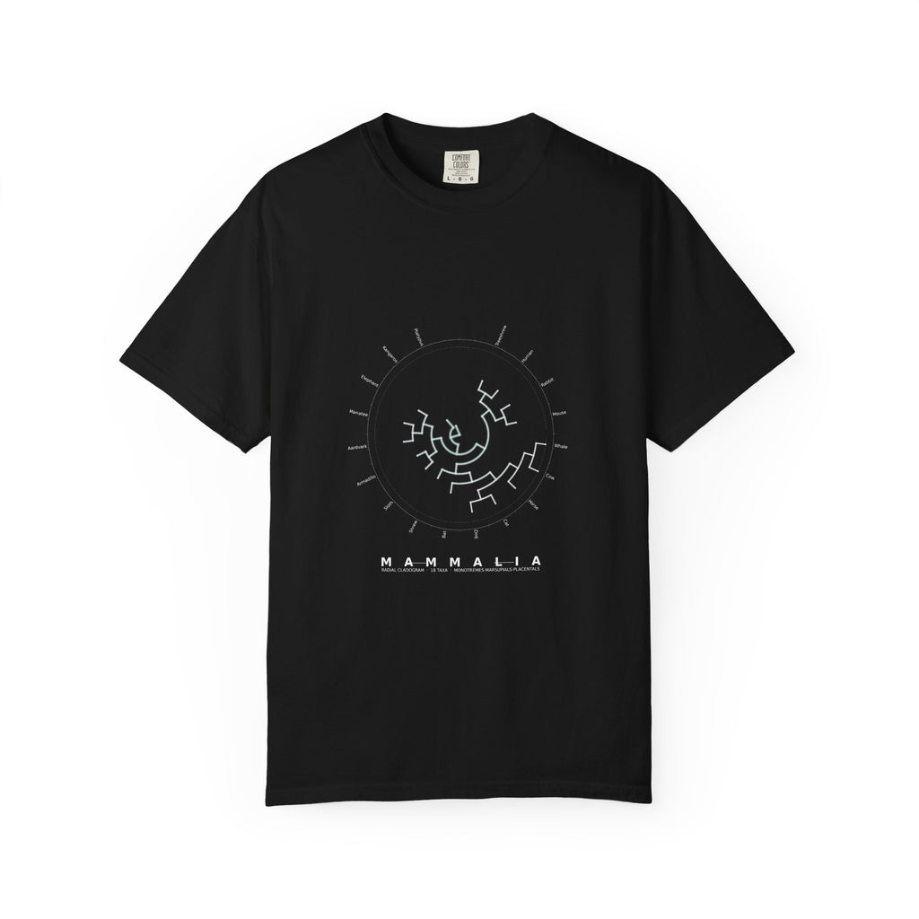 Mammalia Tee - Phylogeny Cladogram Art | Men's