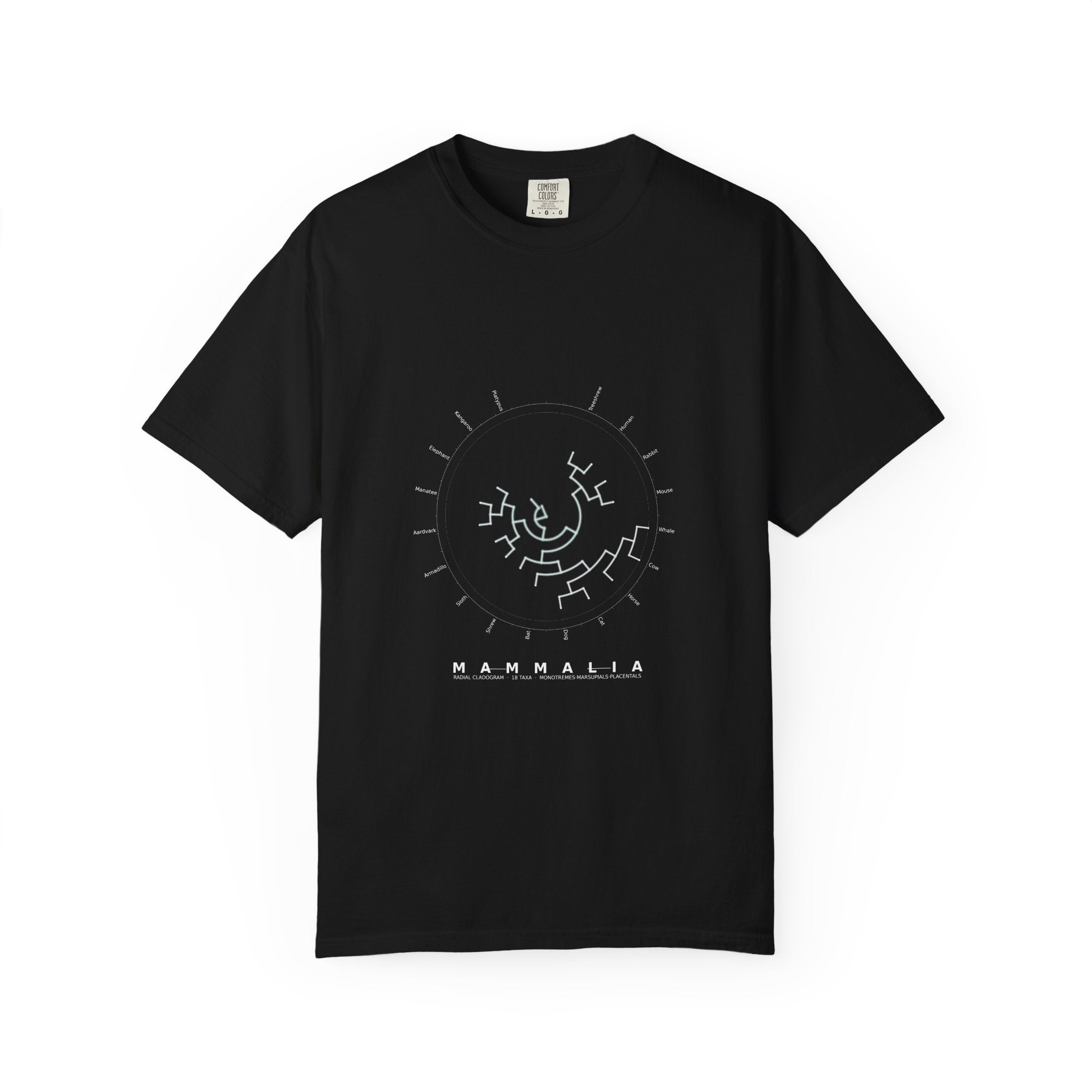 Mammalia Tee - Phylogeny Cladogram Art | Men's