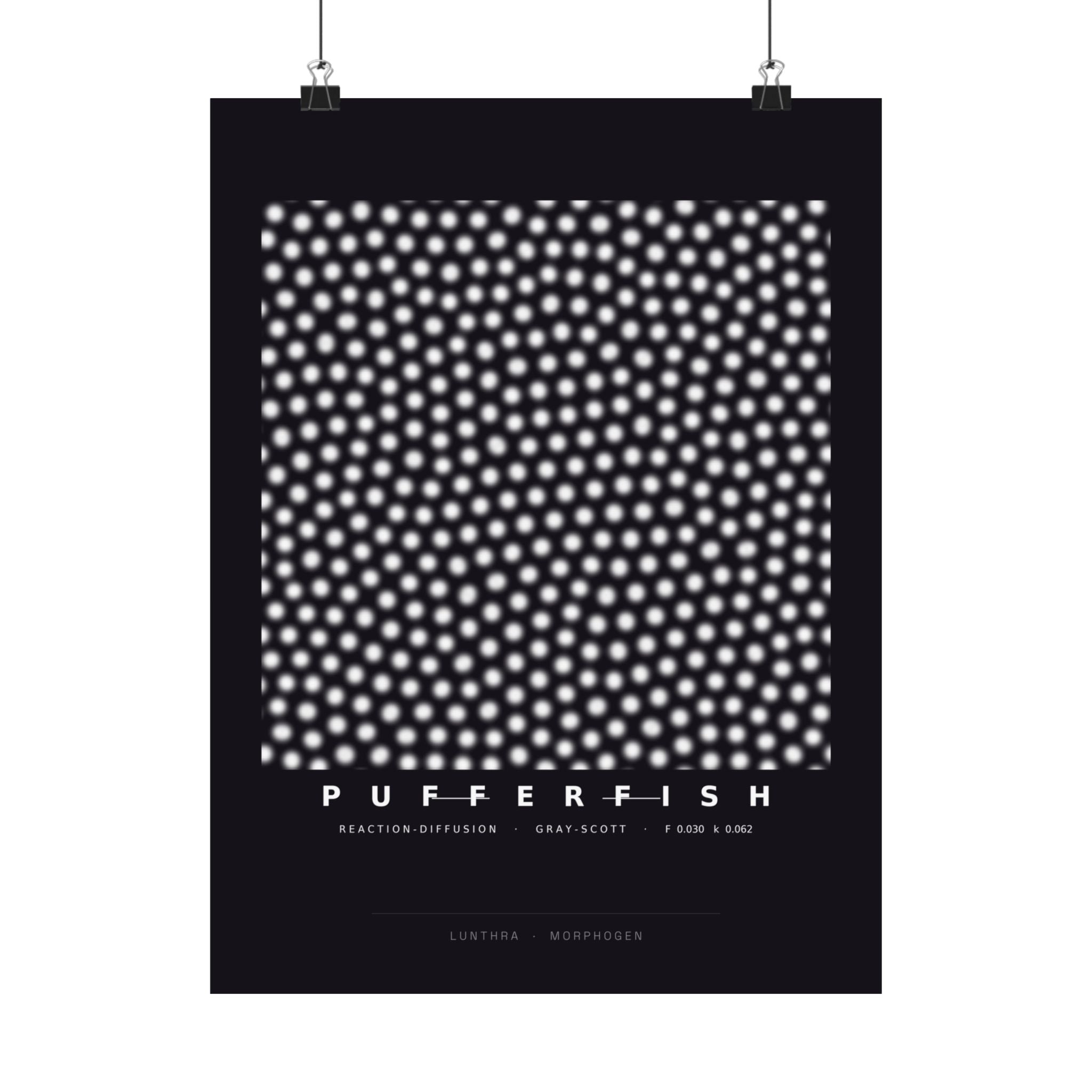 Pufferfish Poster - Turing Reaction-Diffusion Art Wall Art