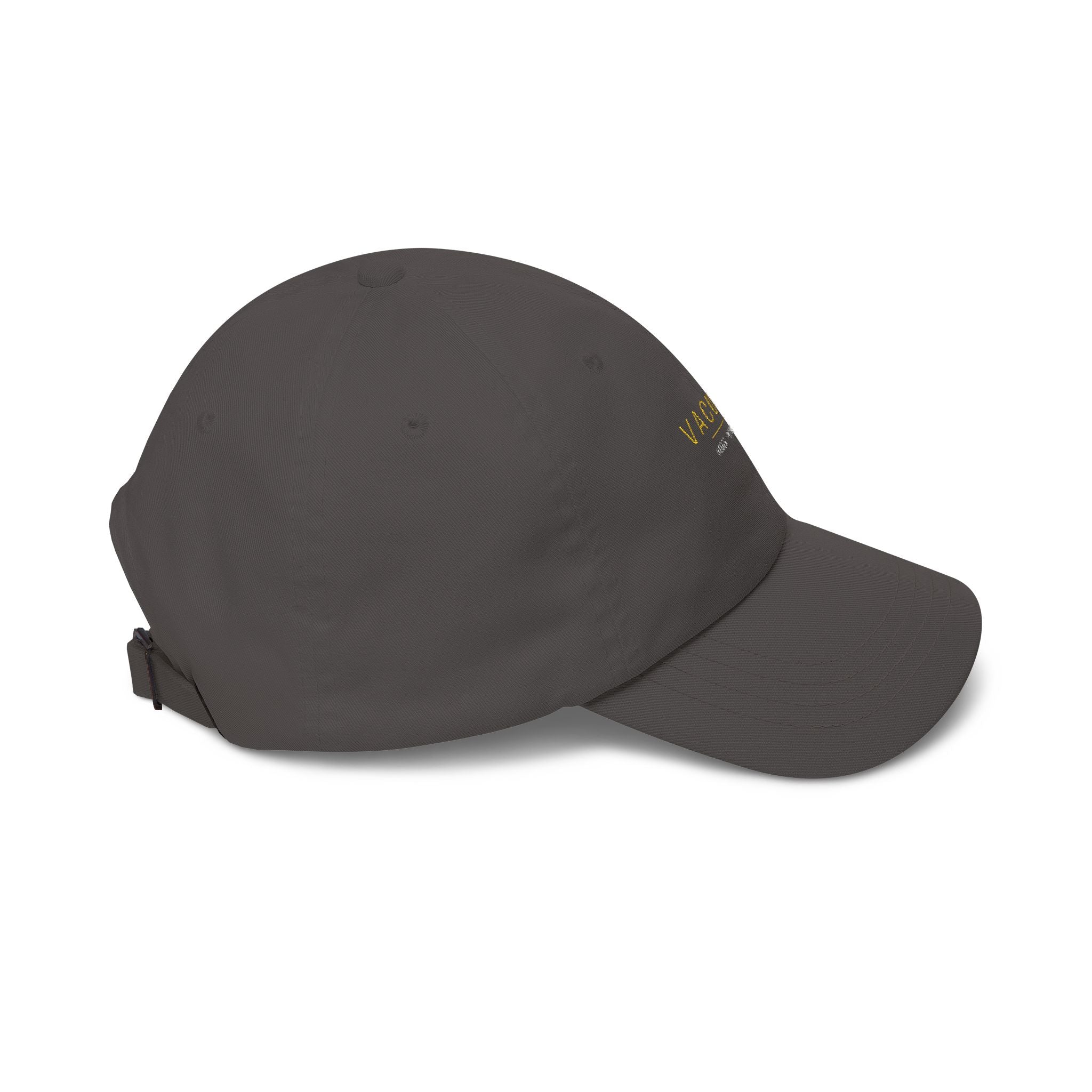 Vacuum - Dad Cap