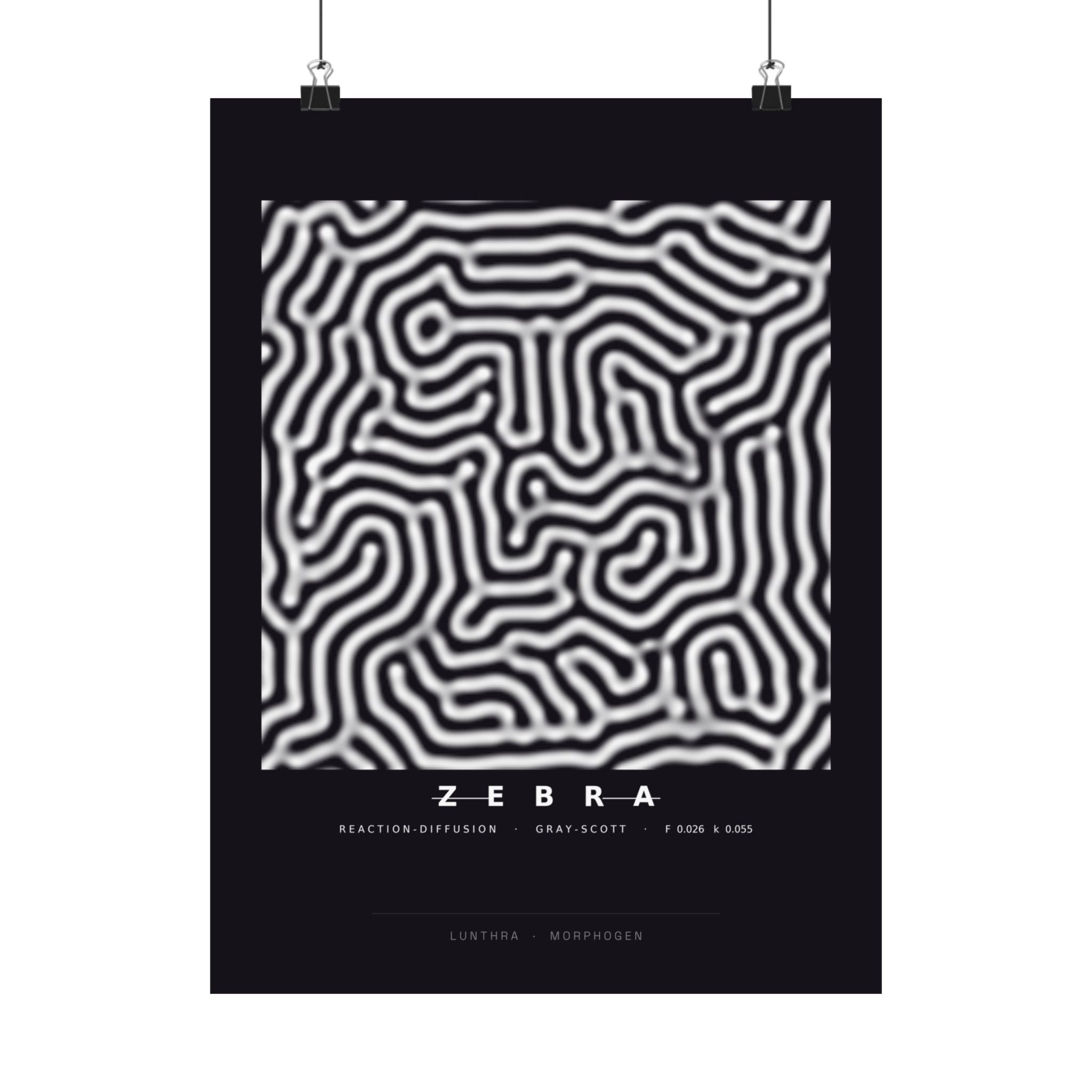 Zebra Poster - Turing Reaction-Diffusion Art Wall Art