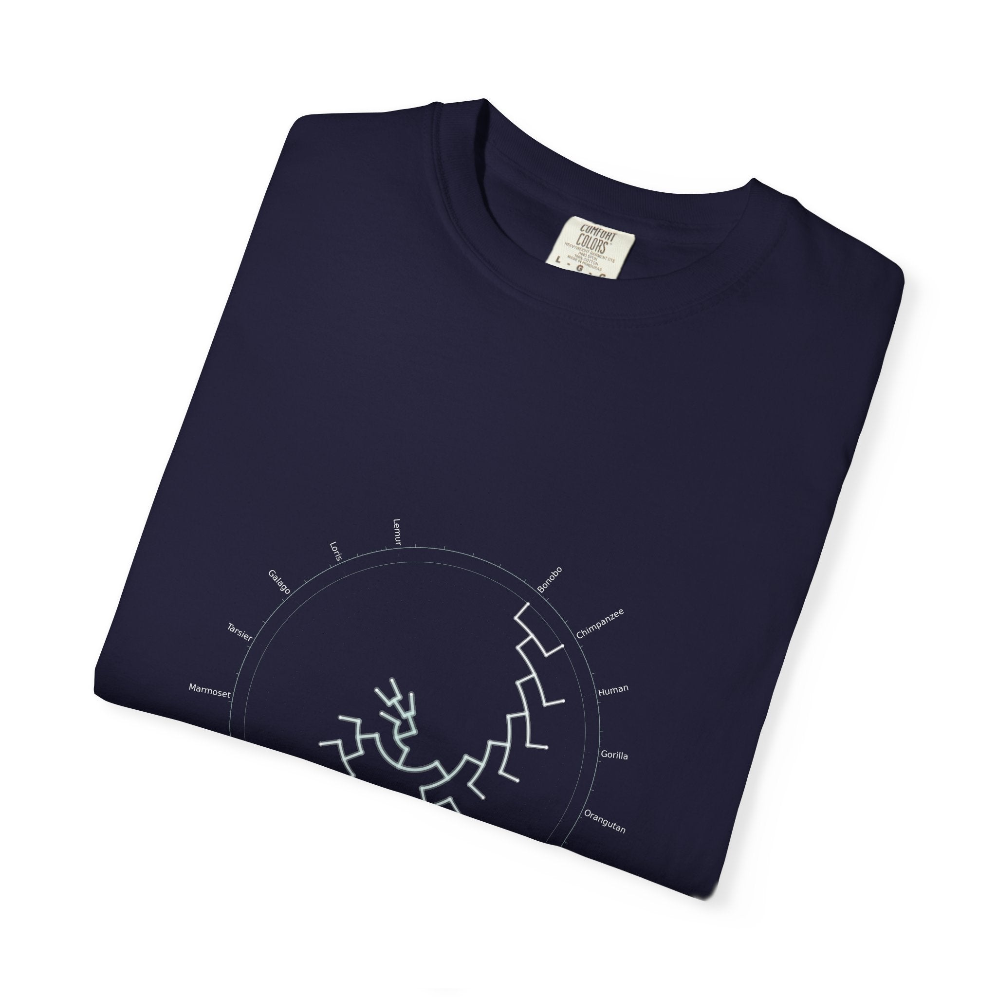 Primates Tee - Phylogeny Cladogram Art | Men's