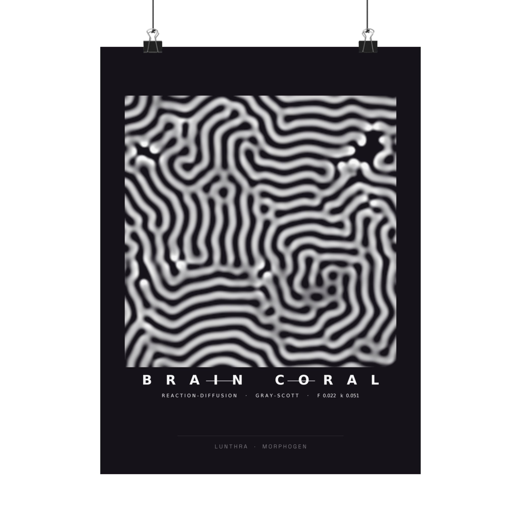 Brain Coral Poster - Turing Reaction-Diffusion Art Wall Art