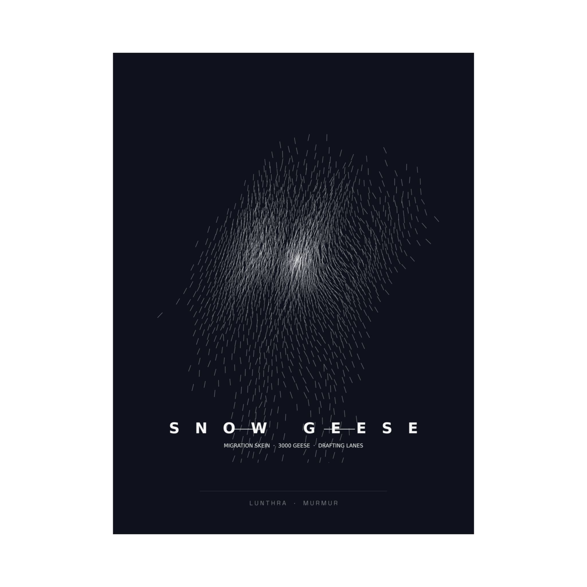 Snow Geese Skein Poster - Boids Flocking Model Art Wall Art