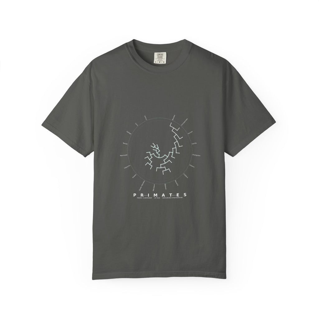 Primates Tee - Phylogeny Cladogram Art | Men's