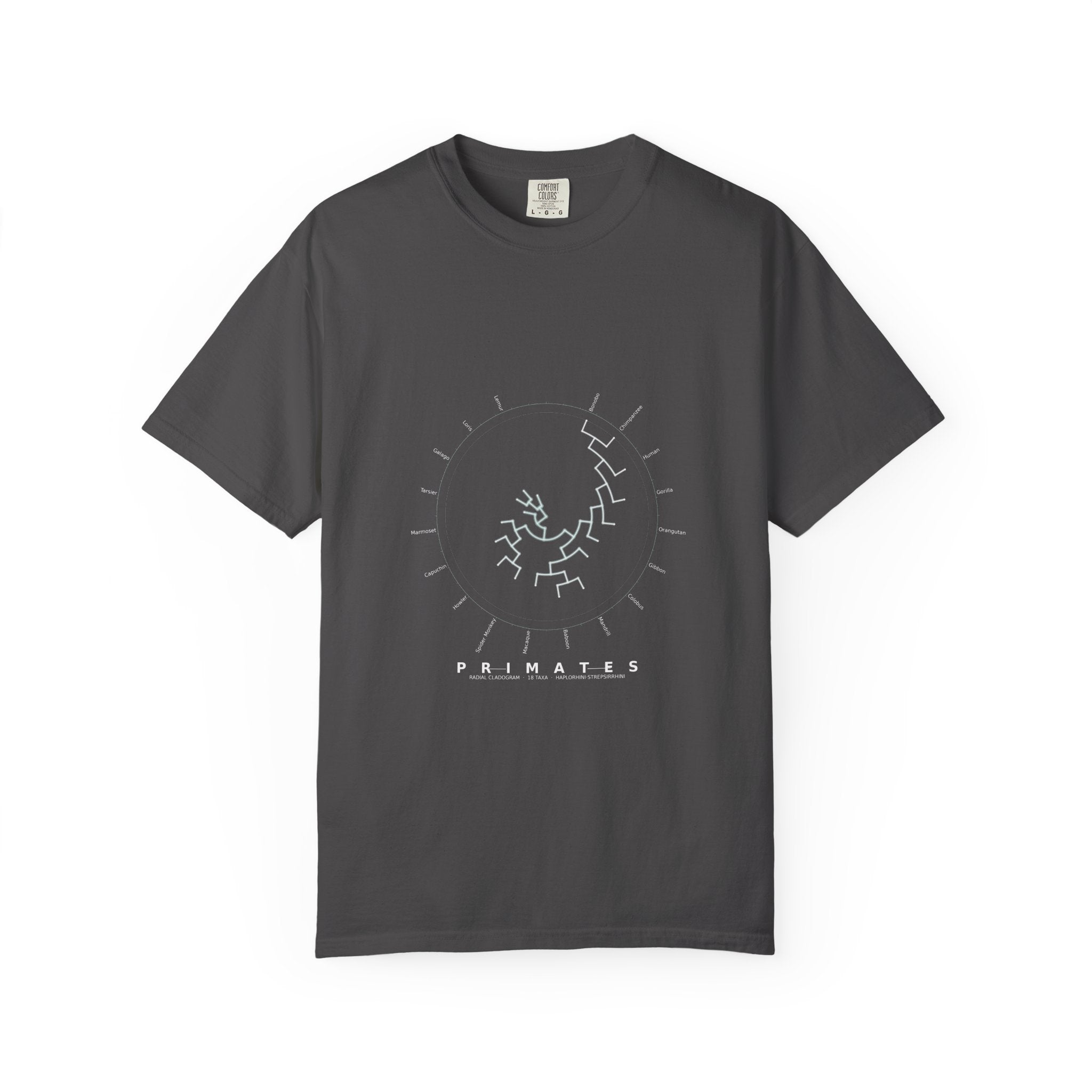 Primates Tee - Phylogeny Cladogram Art | Men's