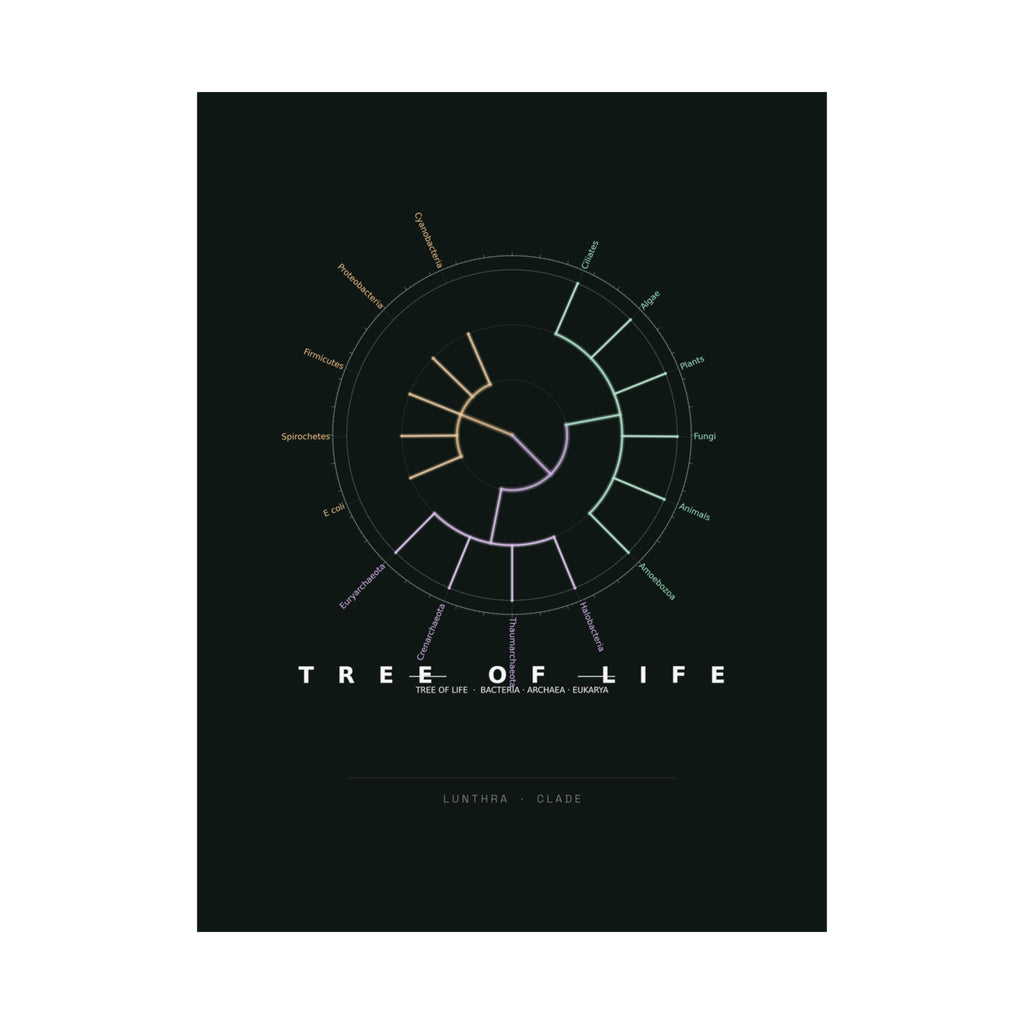 Tree of Life Poster - Phylogeny Cladogram Art Wall Art