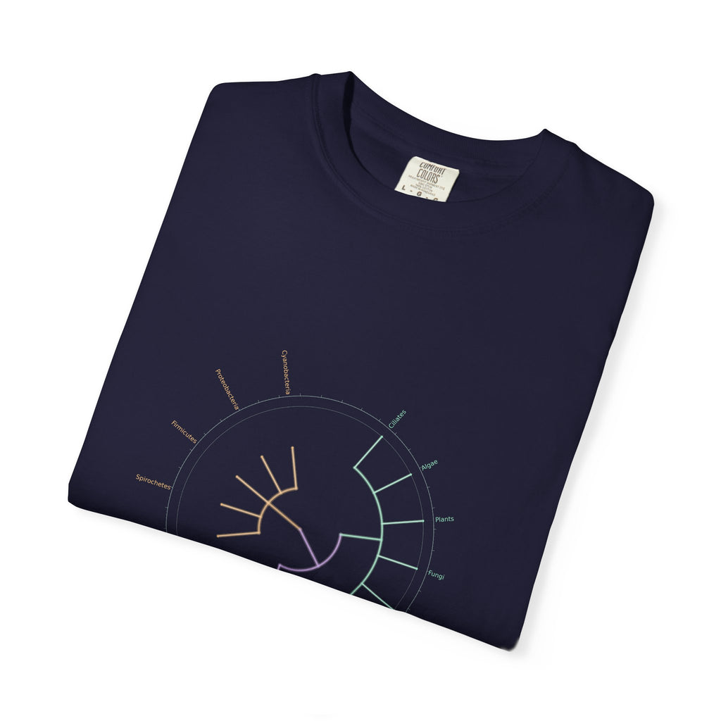 Tree of Life Tee - Phylogeny Cladogram Art | Men's