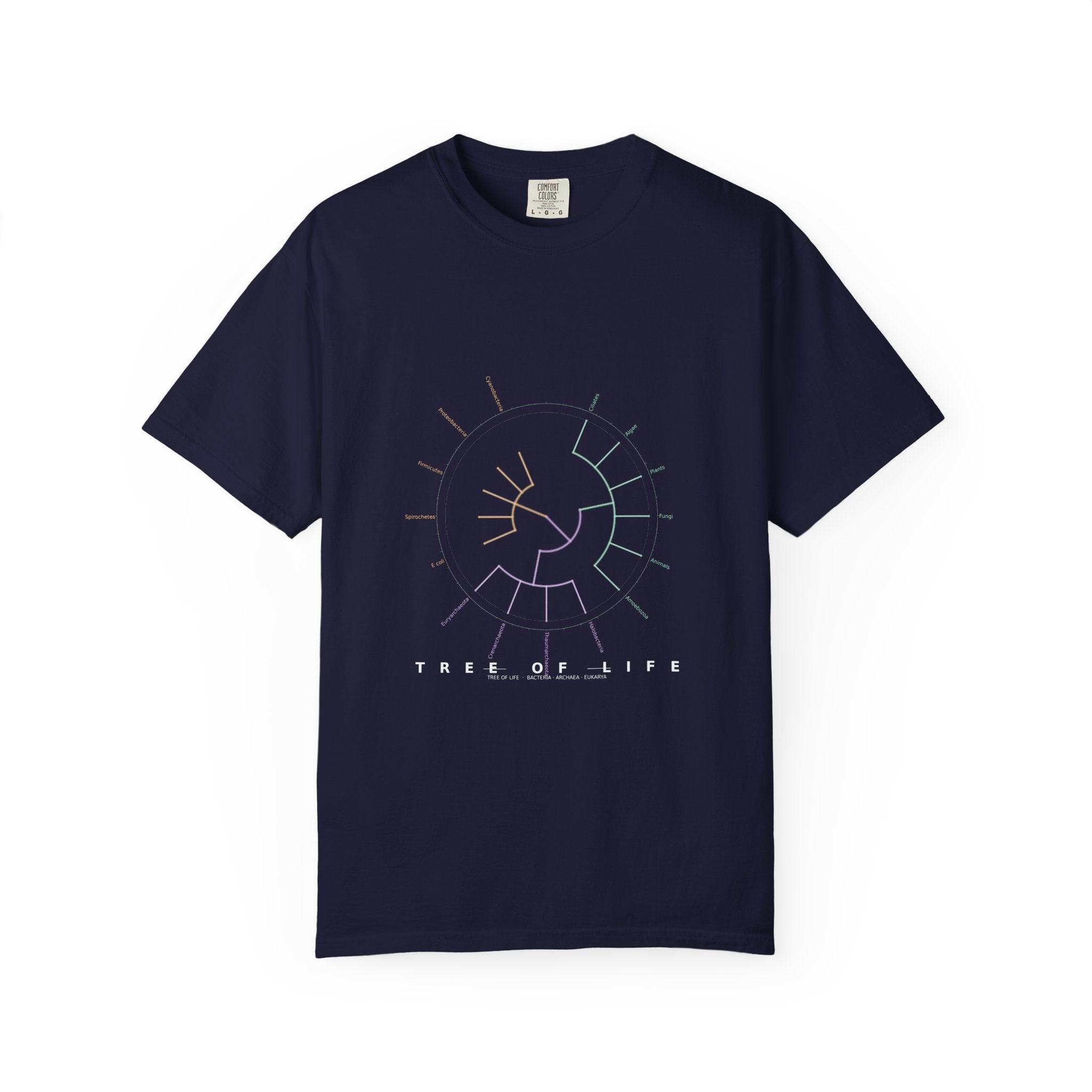 Tree of Life Tee - Phylogeny Cladogram Art | Men's