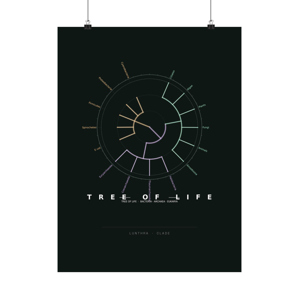 Tree of Life Poster - Phylogeny Cladogram Art Wall Art