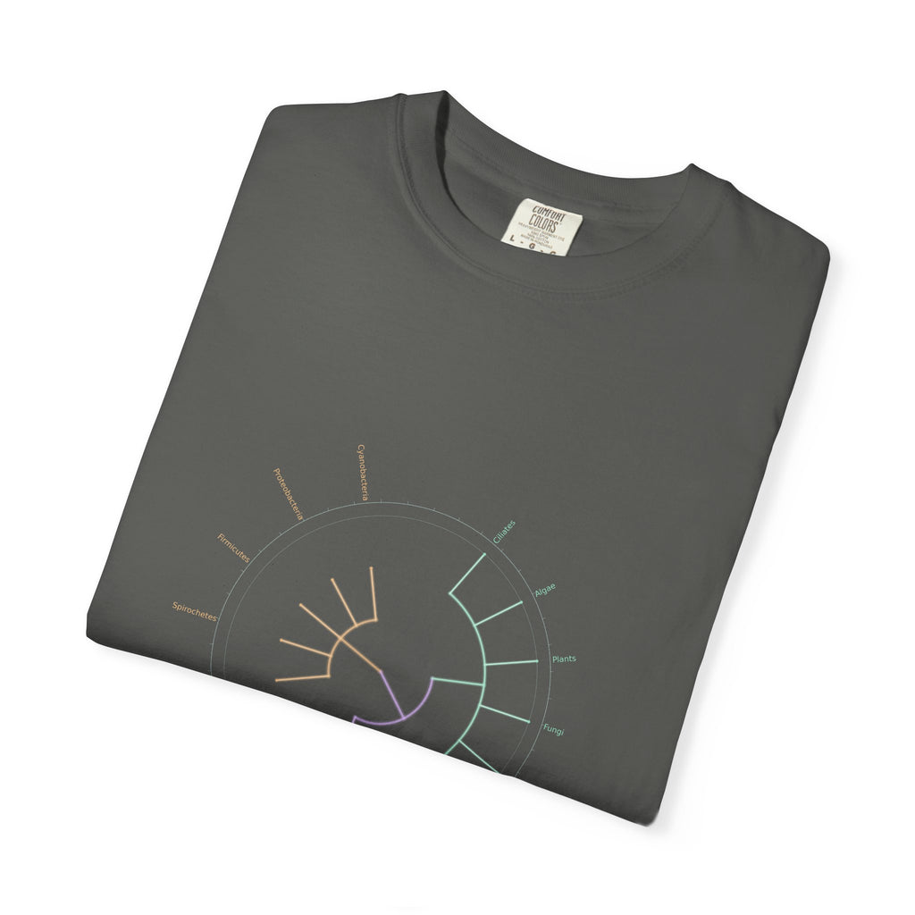 Tree of Life Tee - Phylogeny Cladogram Art | Men's