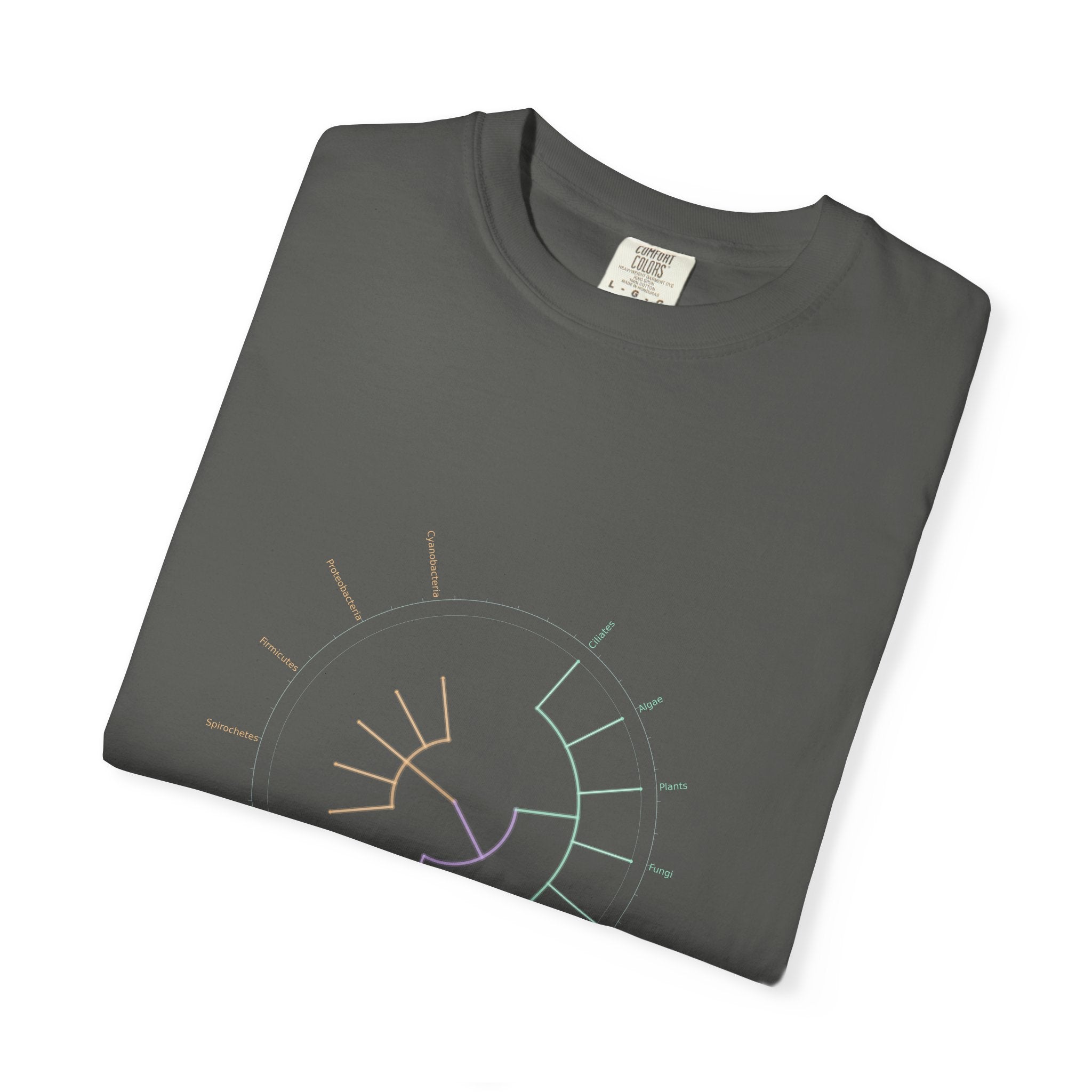 Tree of Life Tee - Phylogeny Cladogram Art | Men's