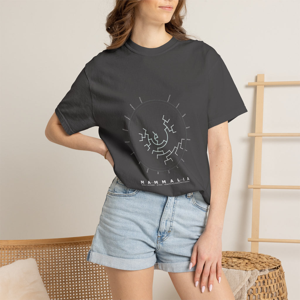 Mammalia Tee - Phylogeny Cladogram Art | Men's
