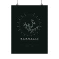 Mammalia Poster - Phylogeny Cladogram Art Wall Art