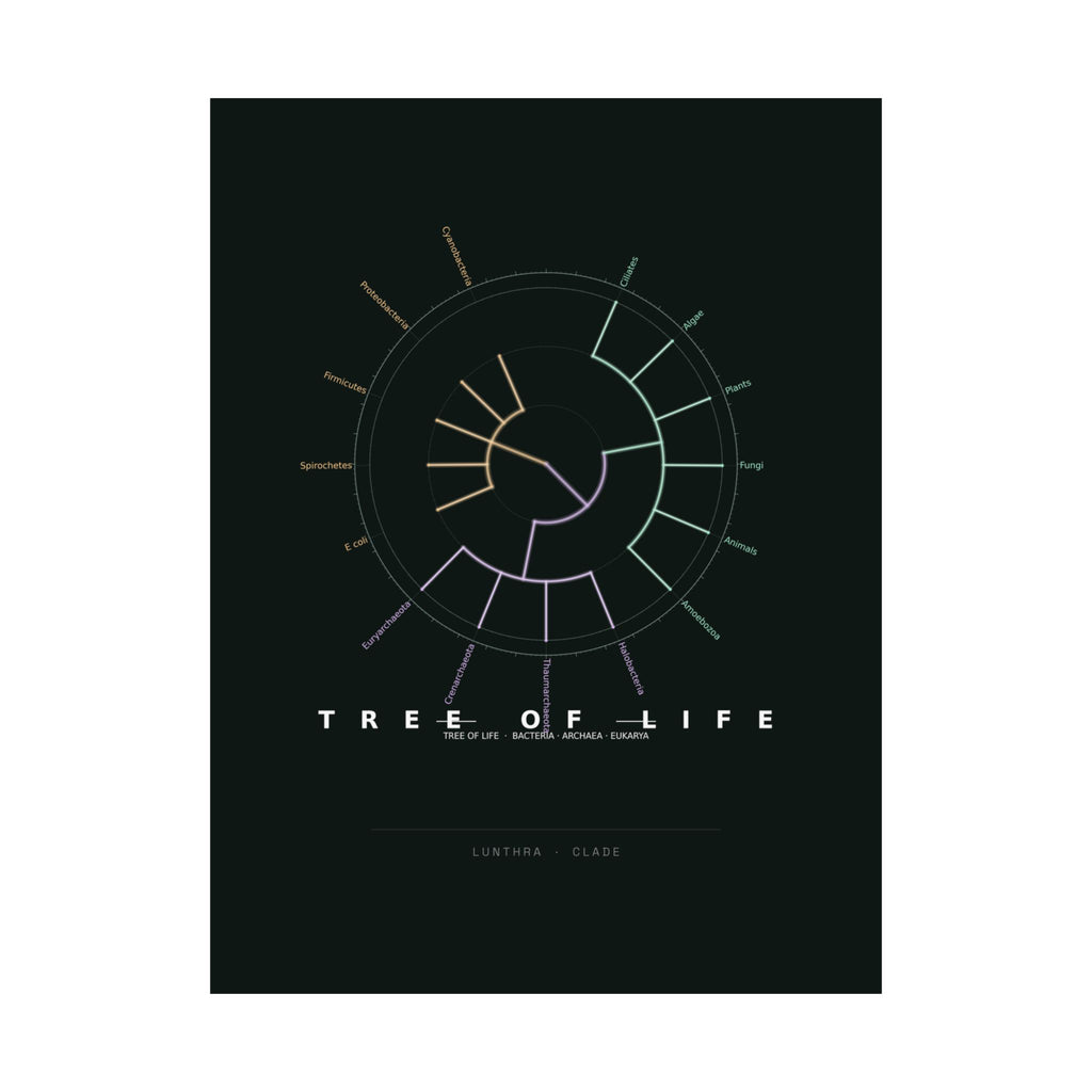 Tree of Life Poster - Phylogeny Cladogram Art Wall Art
