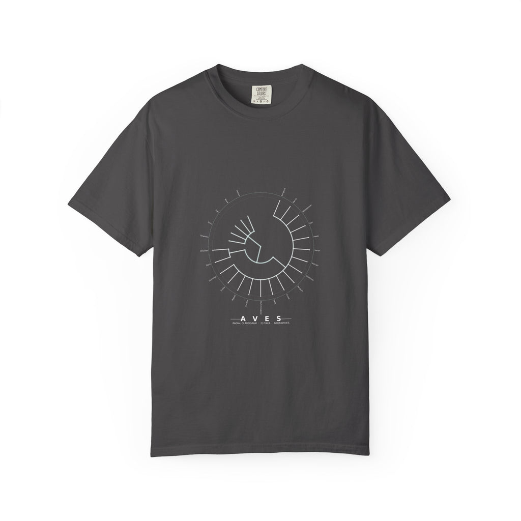 Aves Tee - Phylogeny Cladogram Art | Men's