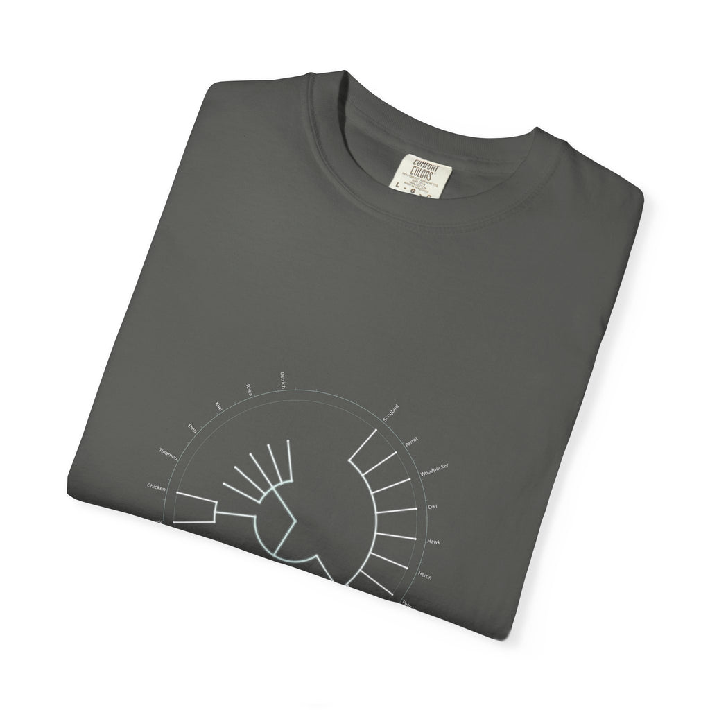 Aves Tee - Phylogeny Cladogram Art | Men's
