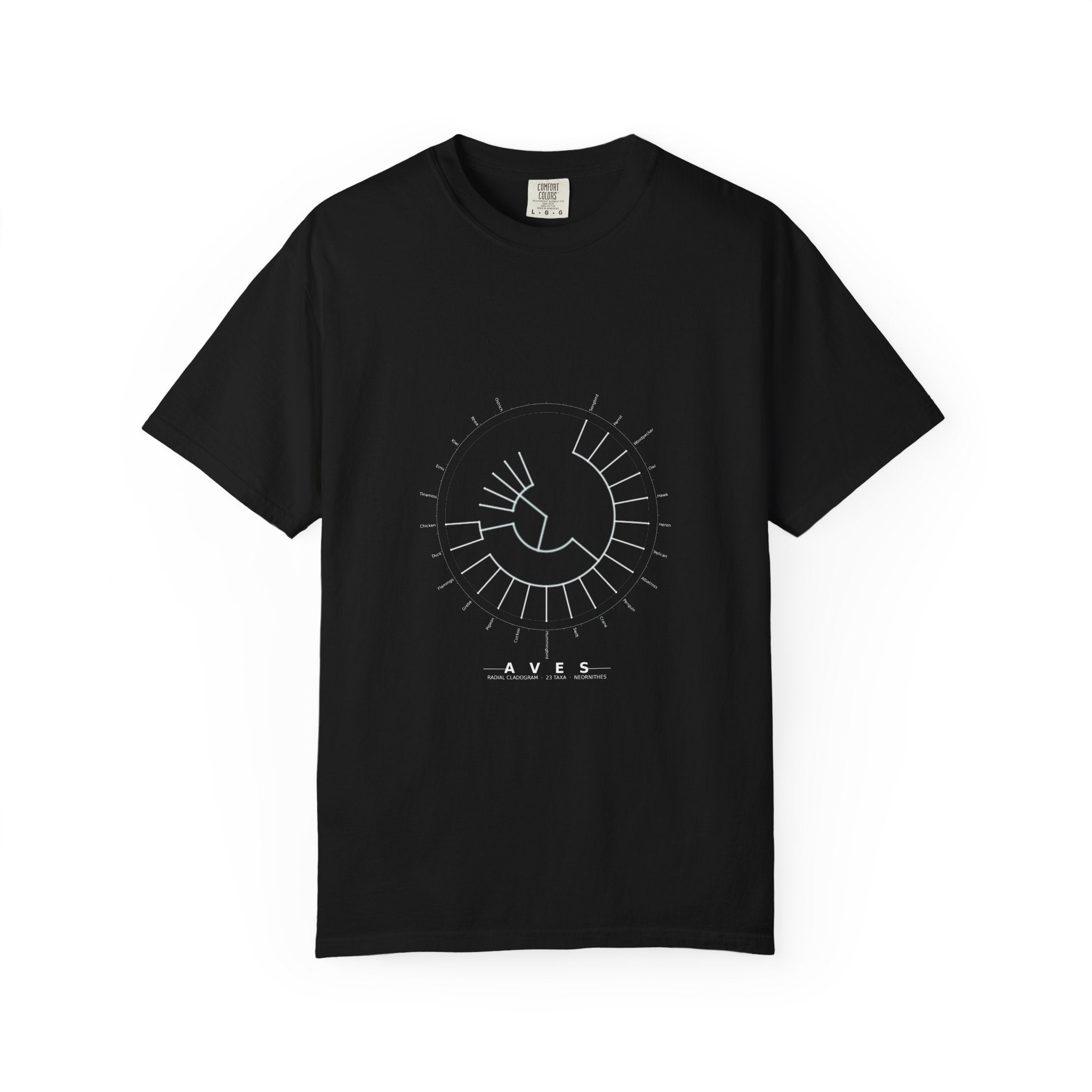 Aves Tee - Phylogeny Cladogram Art | Men's