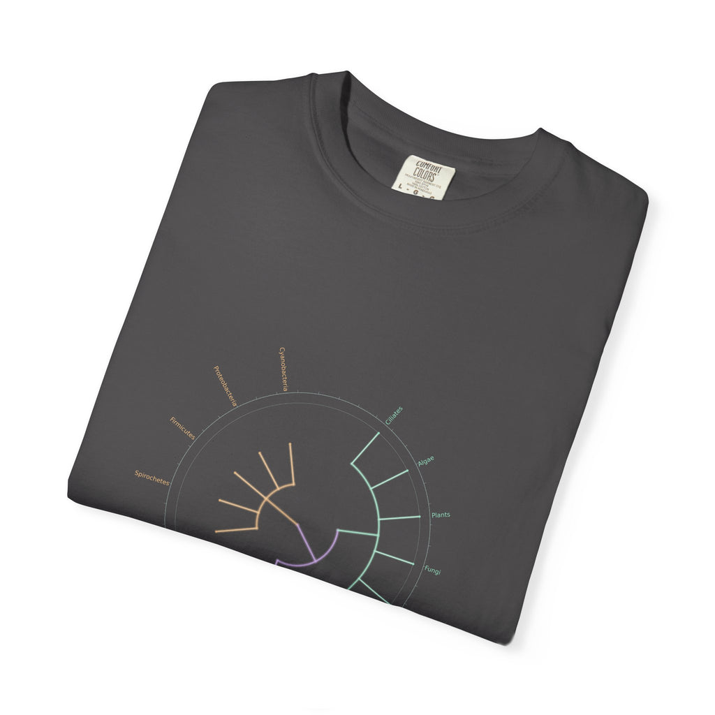 Tree of Life Tee - Phylogeny Cladogram Art | Men's