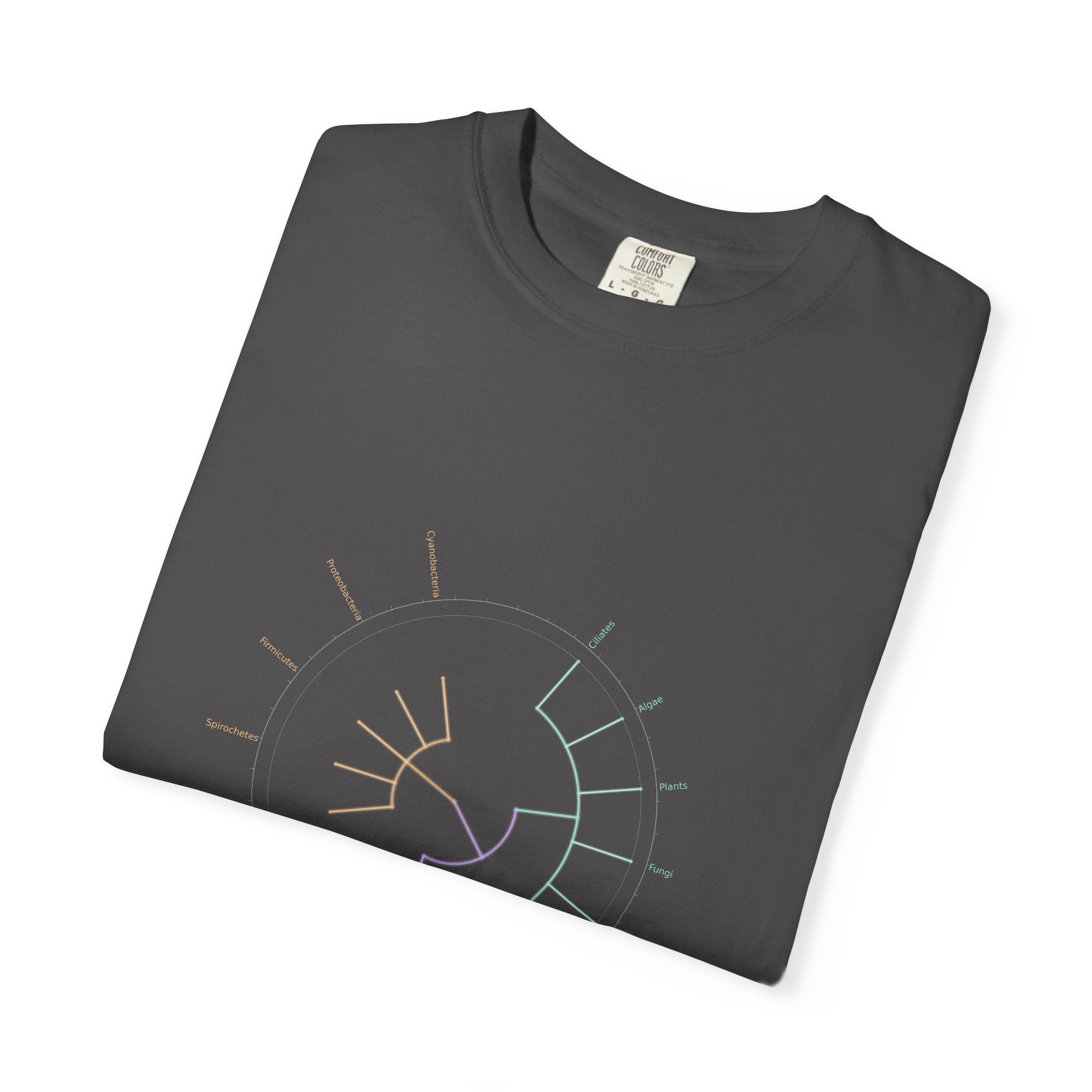 Tree of Life Tee - Phylogeny Cladogram Art | Men's