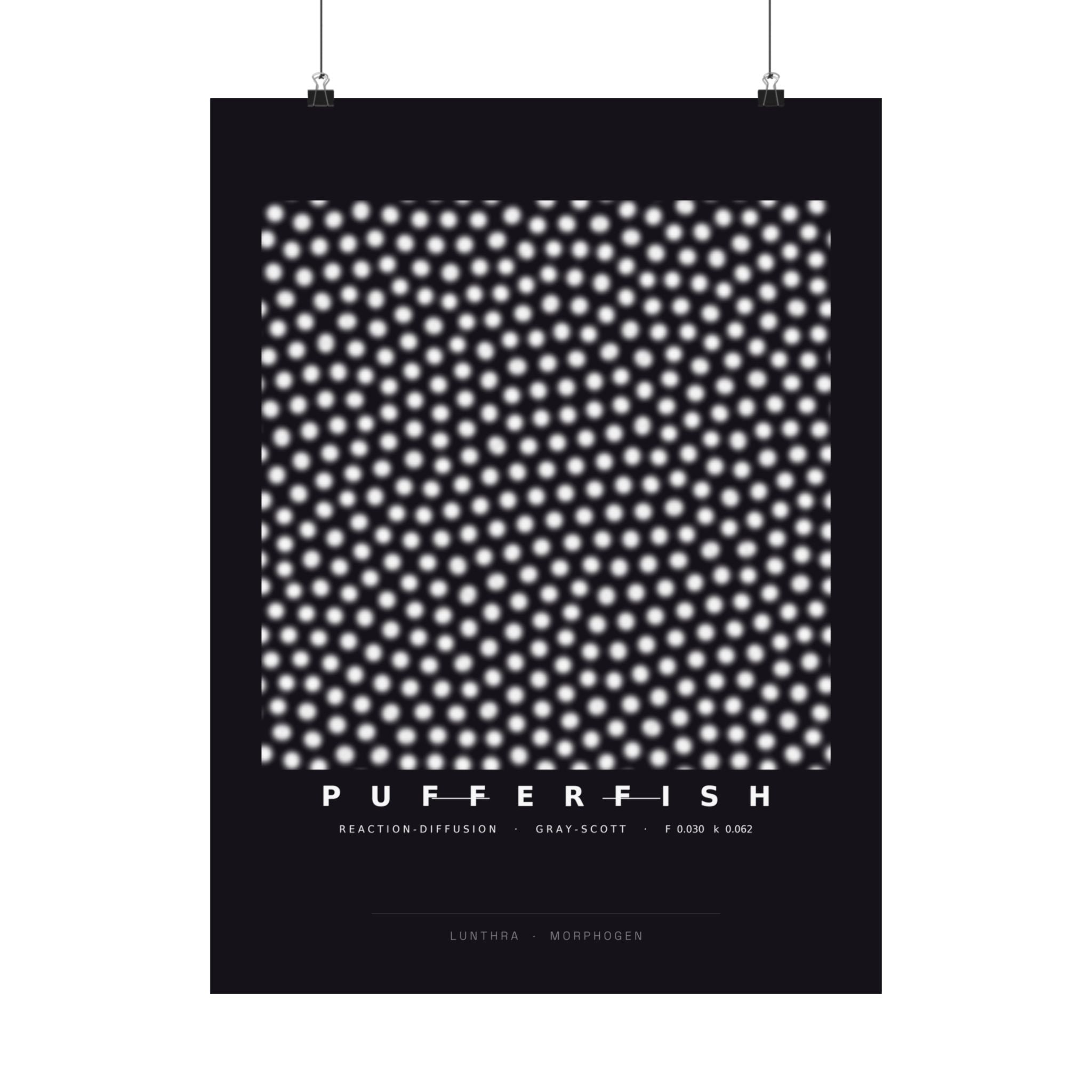 Pufferfish Poster - Turing Reaction-Diffusion Art Wall Art