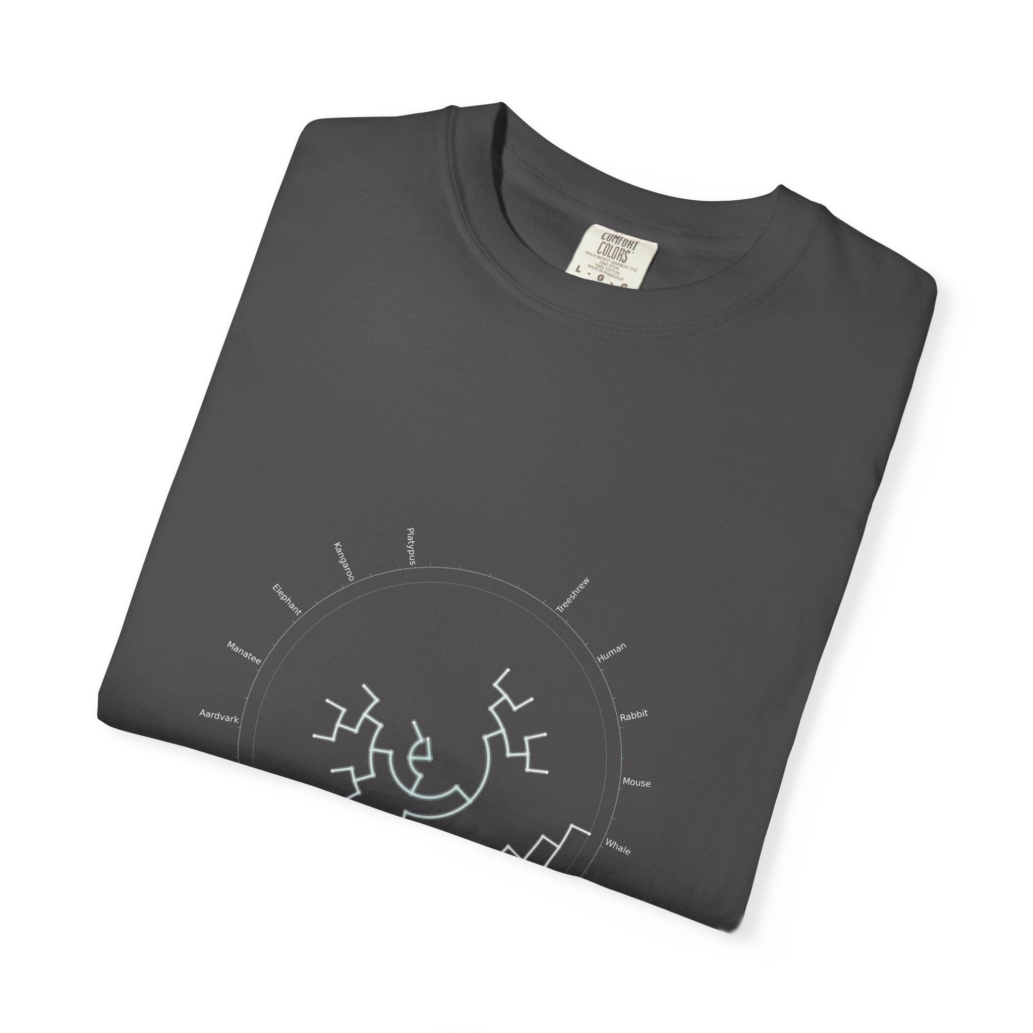 Mammalia Tee - Phylogeny Cladogram Art | Men's