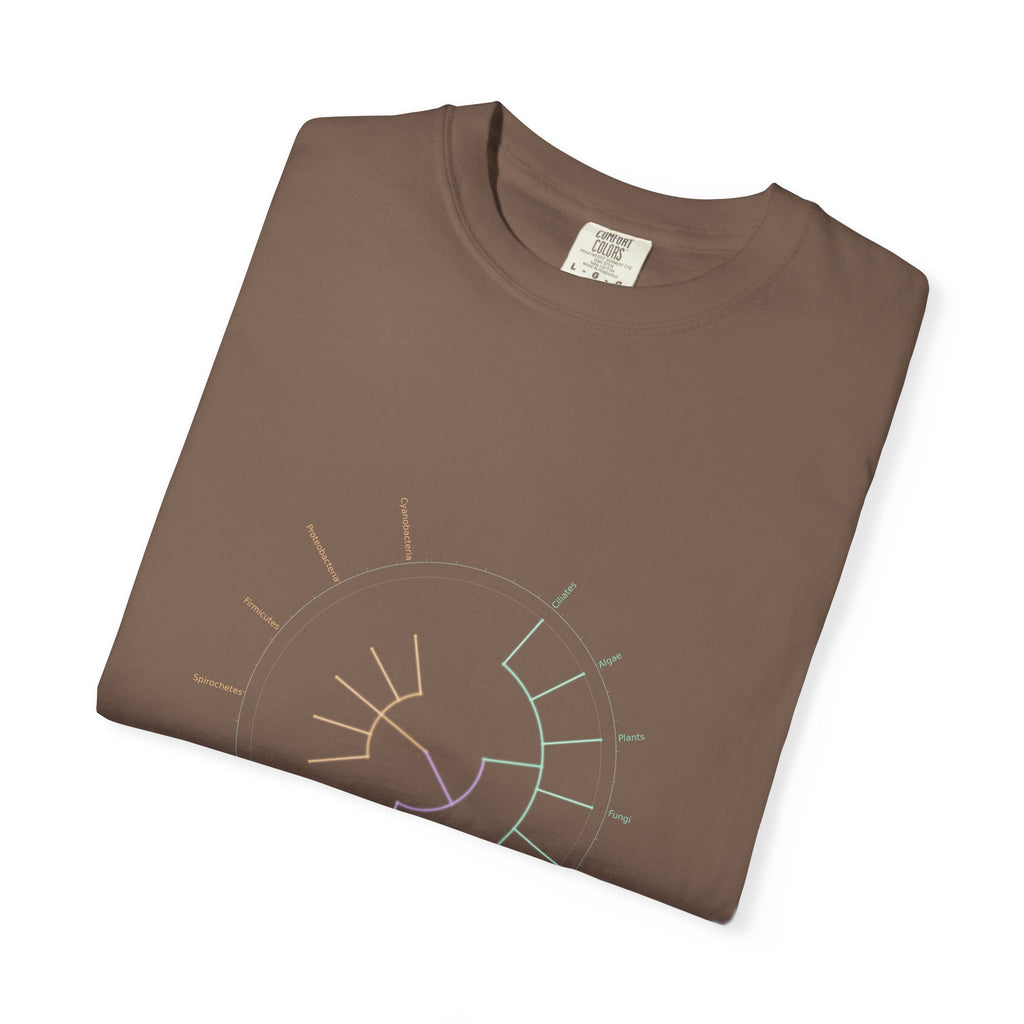 Tree of Life Tee - Phylogeny Cladogram Art | Men's