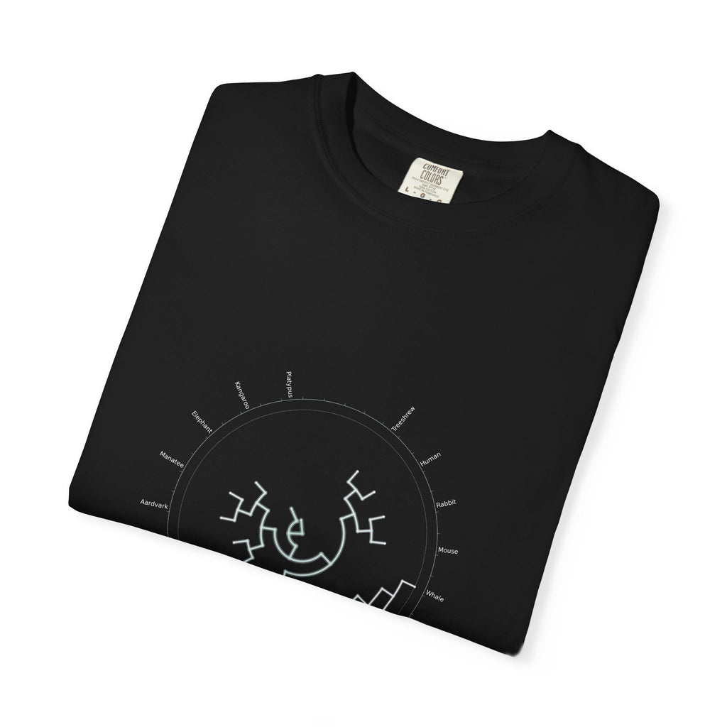 Mammalia Tee - Phylogeny Cladogram Art | Men's