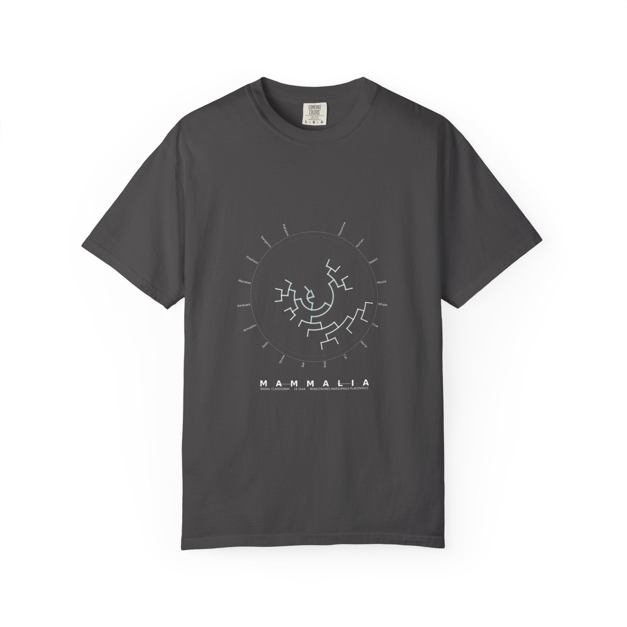 Mammalia Tee - Phylogeny Cladogram Art | Men's