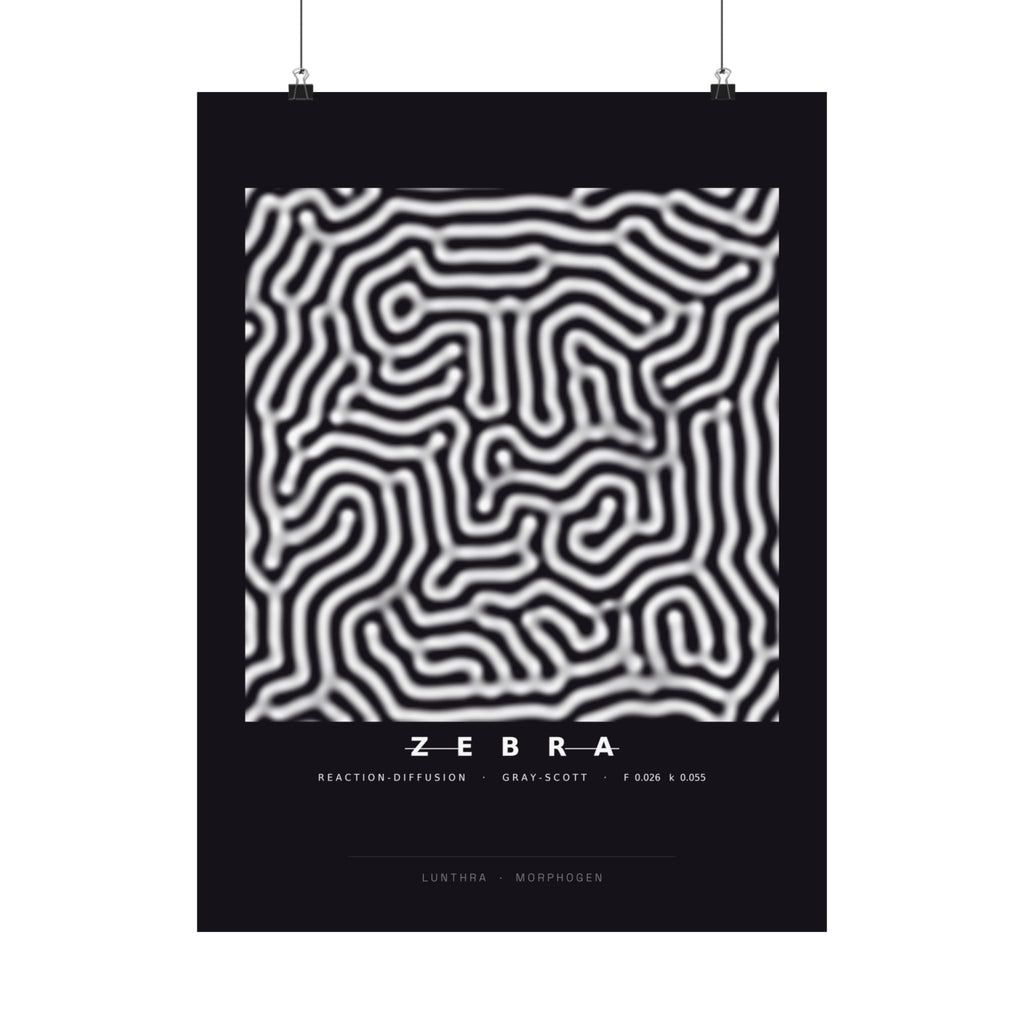 Zebra Poster - Turing Reaction-Diffusion Art Wall Art