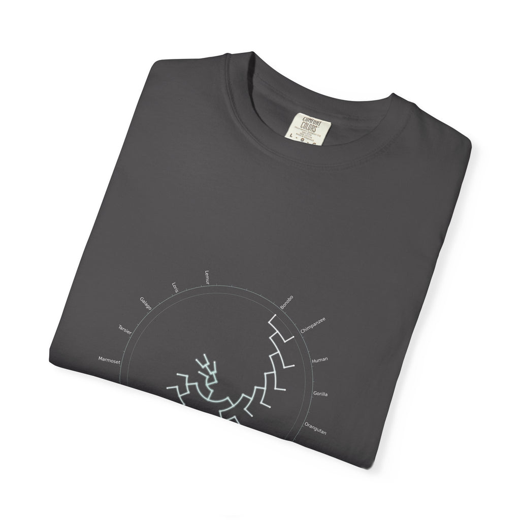 Primates Tee - Phylogeny Cladogram Art | Men's