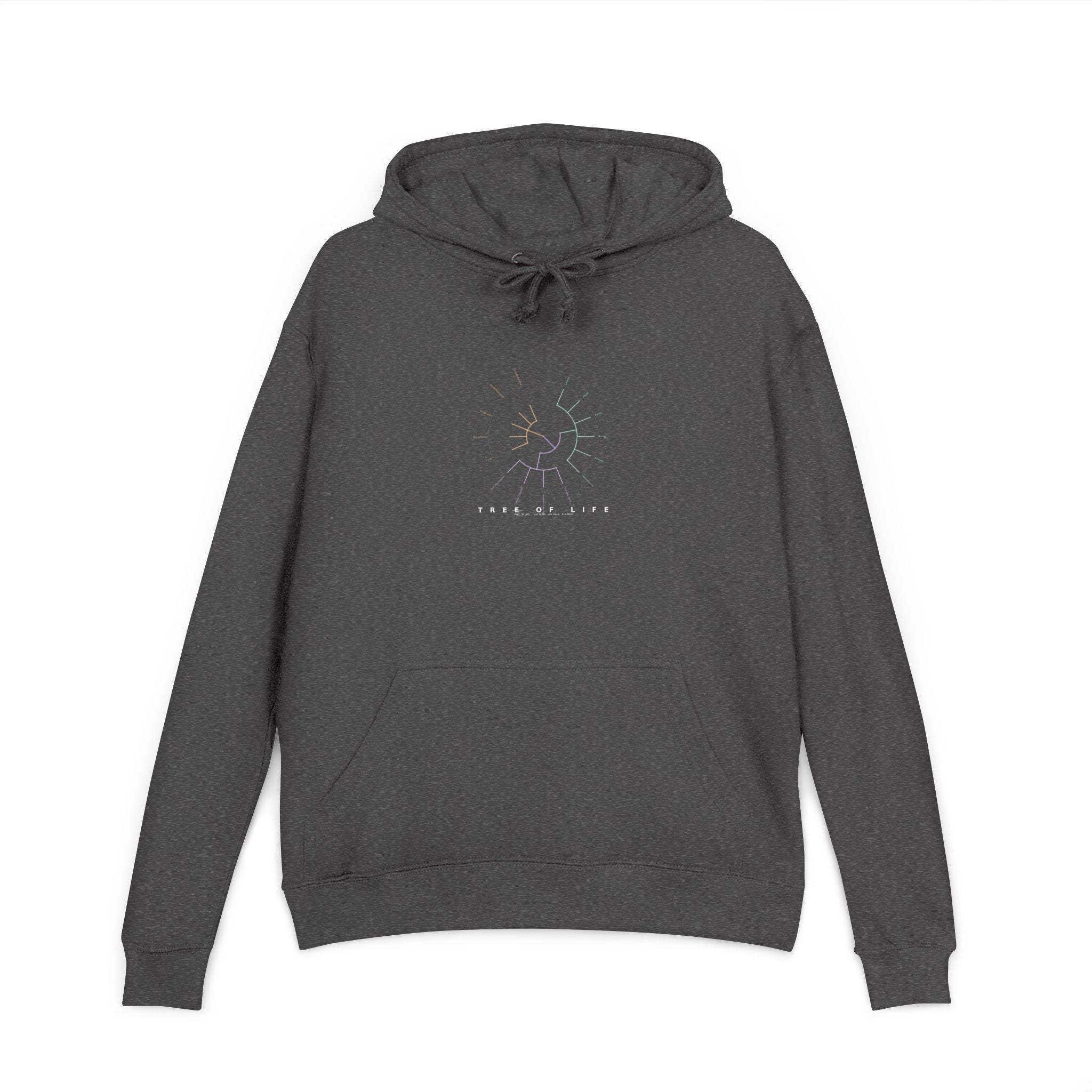 Tree of Life Hoodie - Phylogeny Cladogram Art | Men's