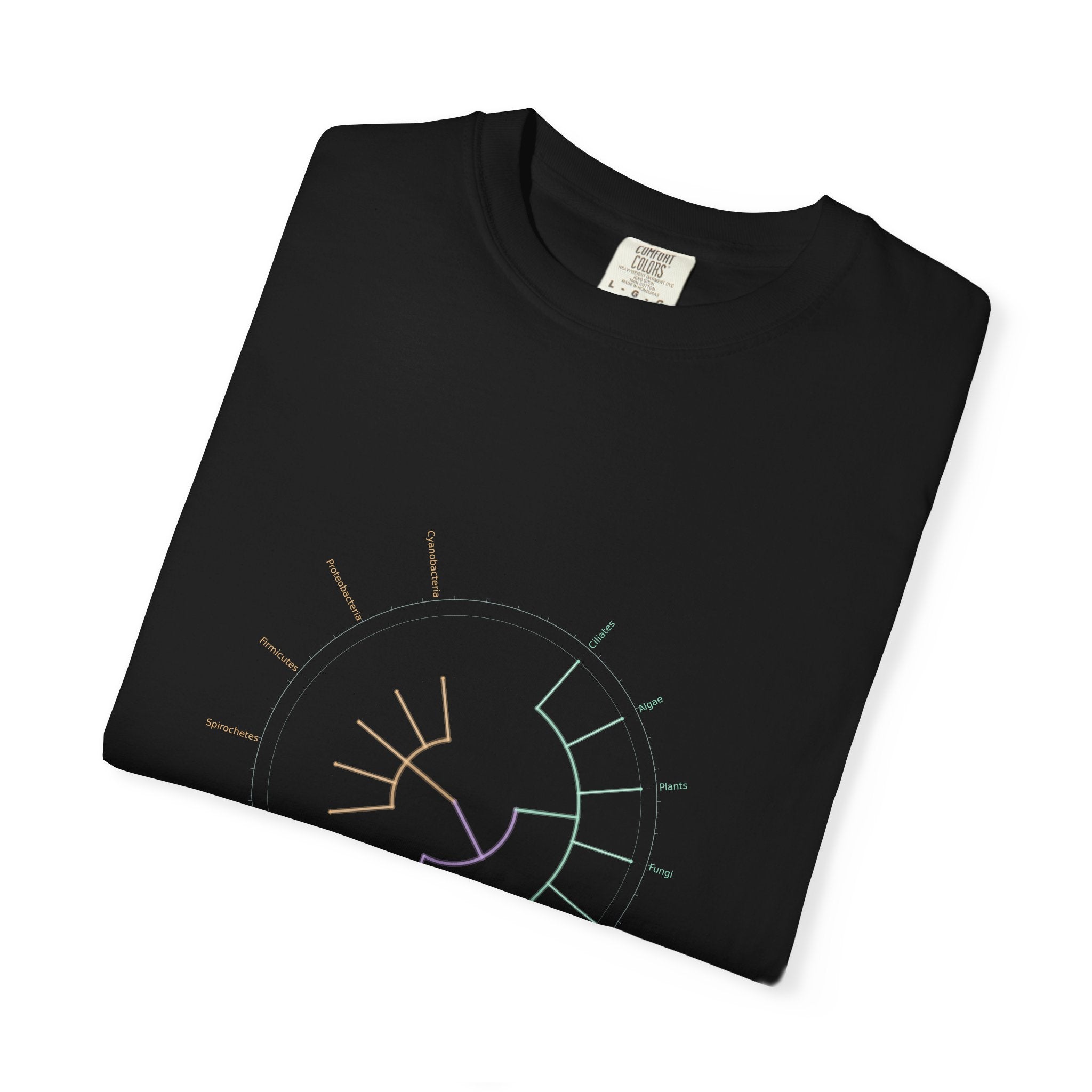 Tree of Life Tee - Phylogeny Cladogram Art | Men's