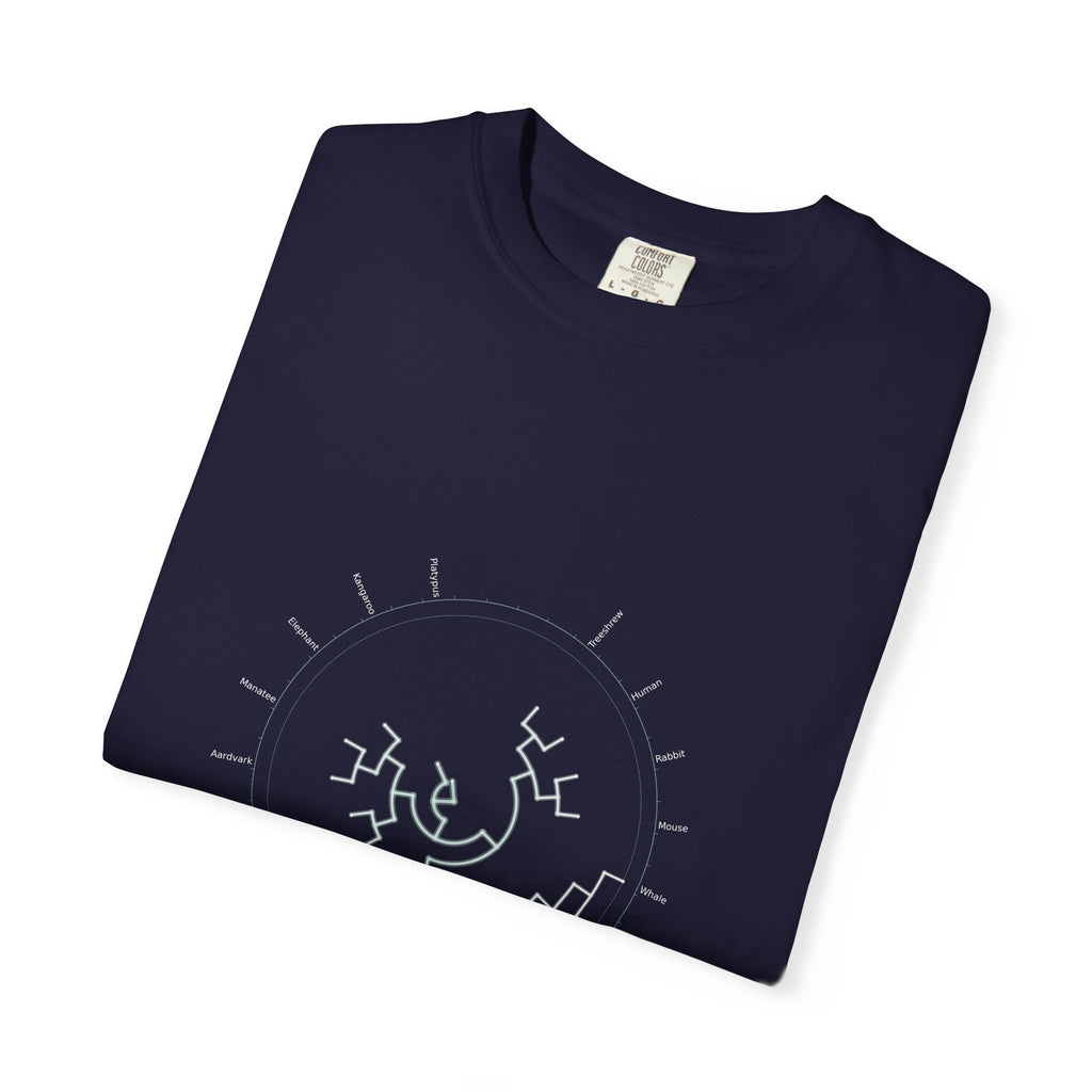 Mammalia Tee - Phylogeny Cladogram Art | Men's