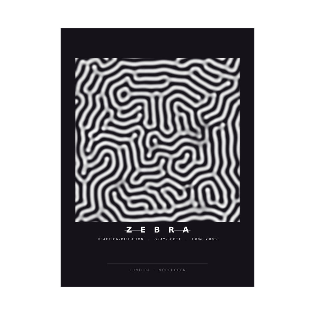 Zebra Poster - Turing Reaction-Diffusion Art Wall Art