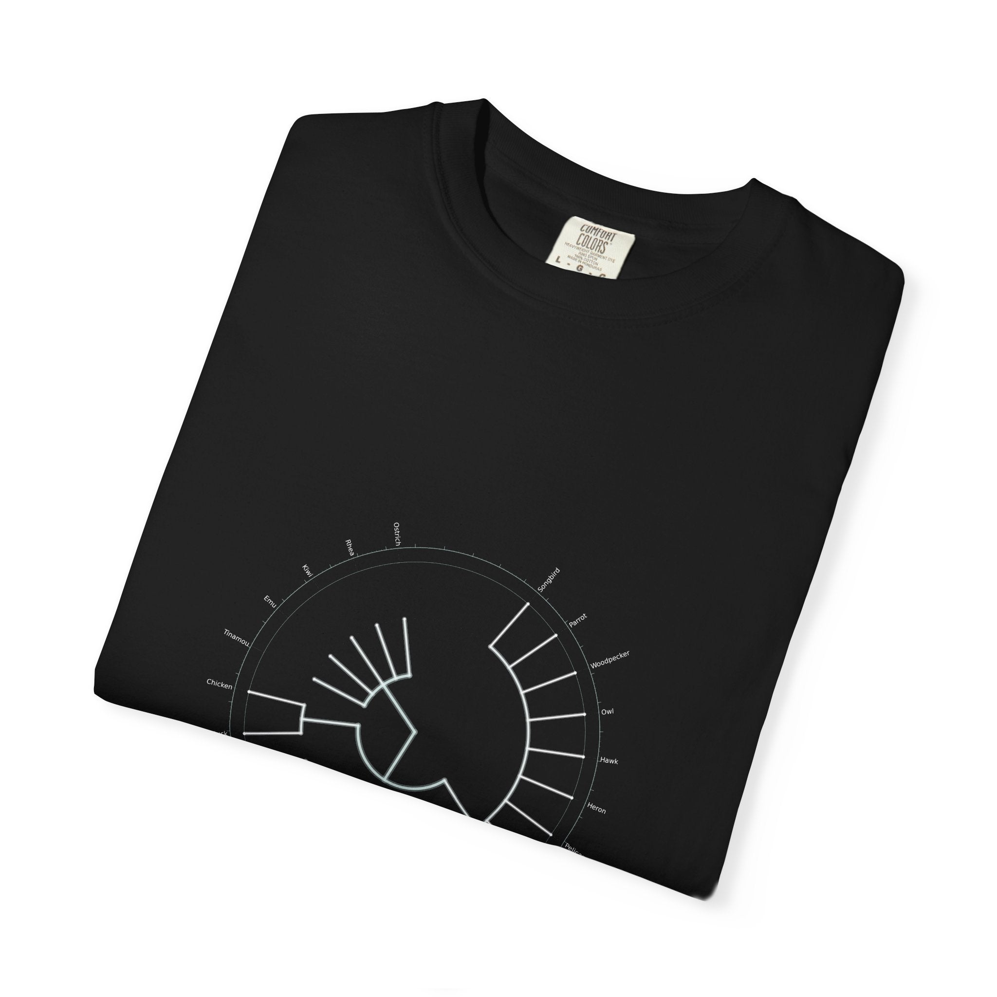 Aves Tee - Phylogeny Cladogram Art | Men's