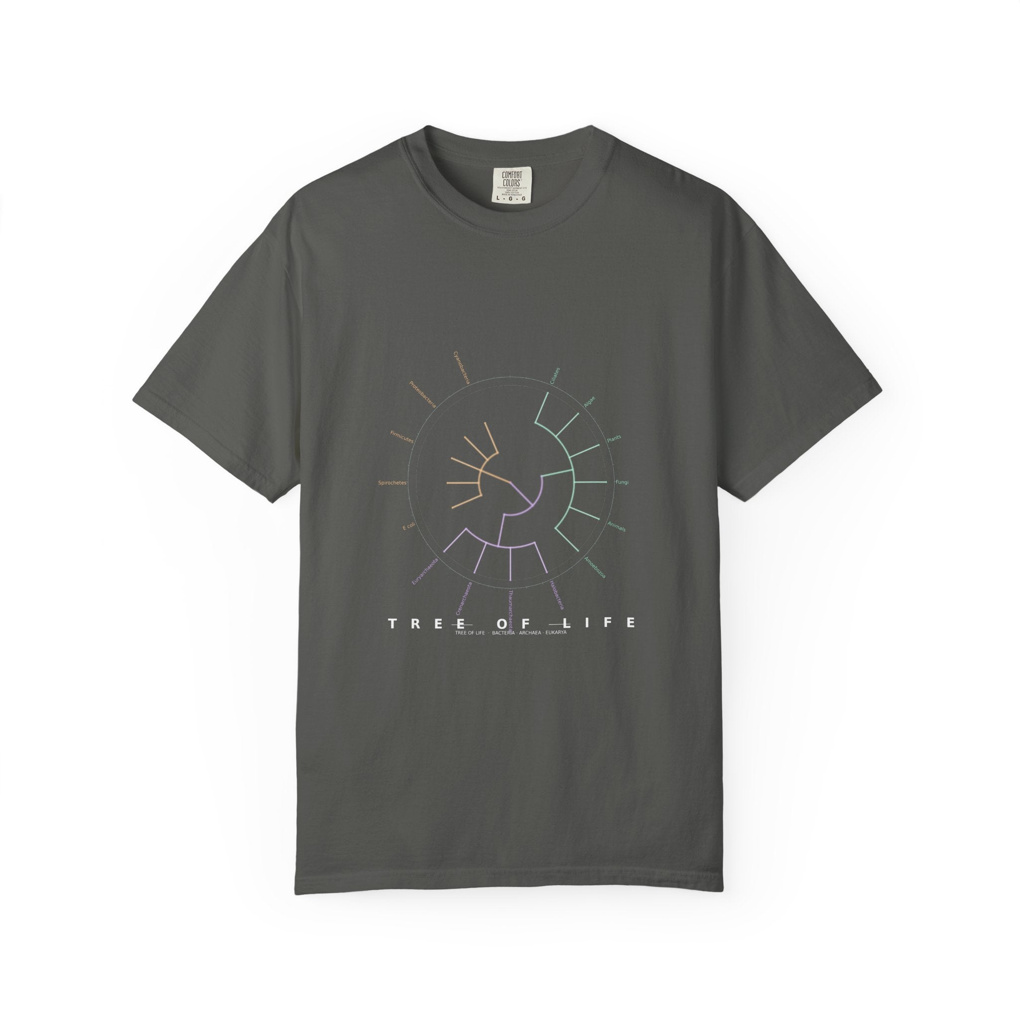 Tree of Life Tee - Phylogeny Cladogram Art | Men's