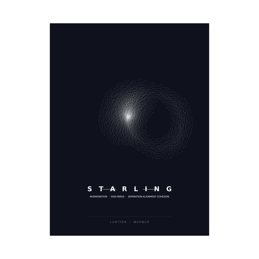Starling Murmuration Poster - Boids Flocking Model Art Wall Art
